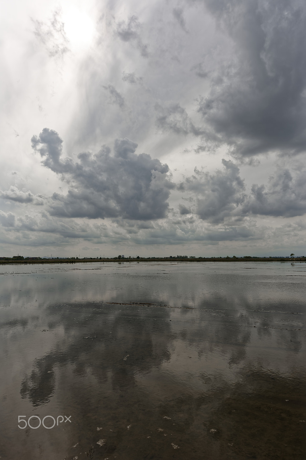 Nikon AF-S Nikkor 14-24mm F2.8G ED sample photo. Flooded photography