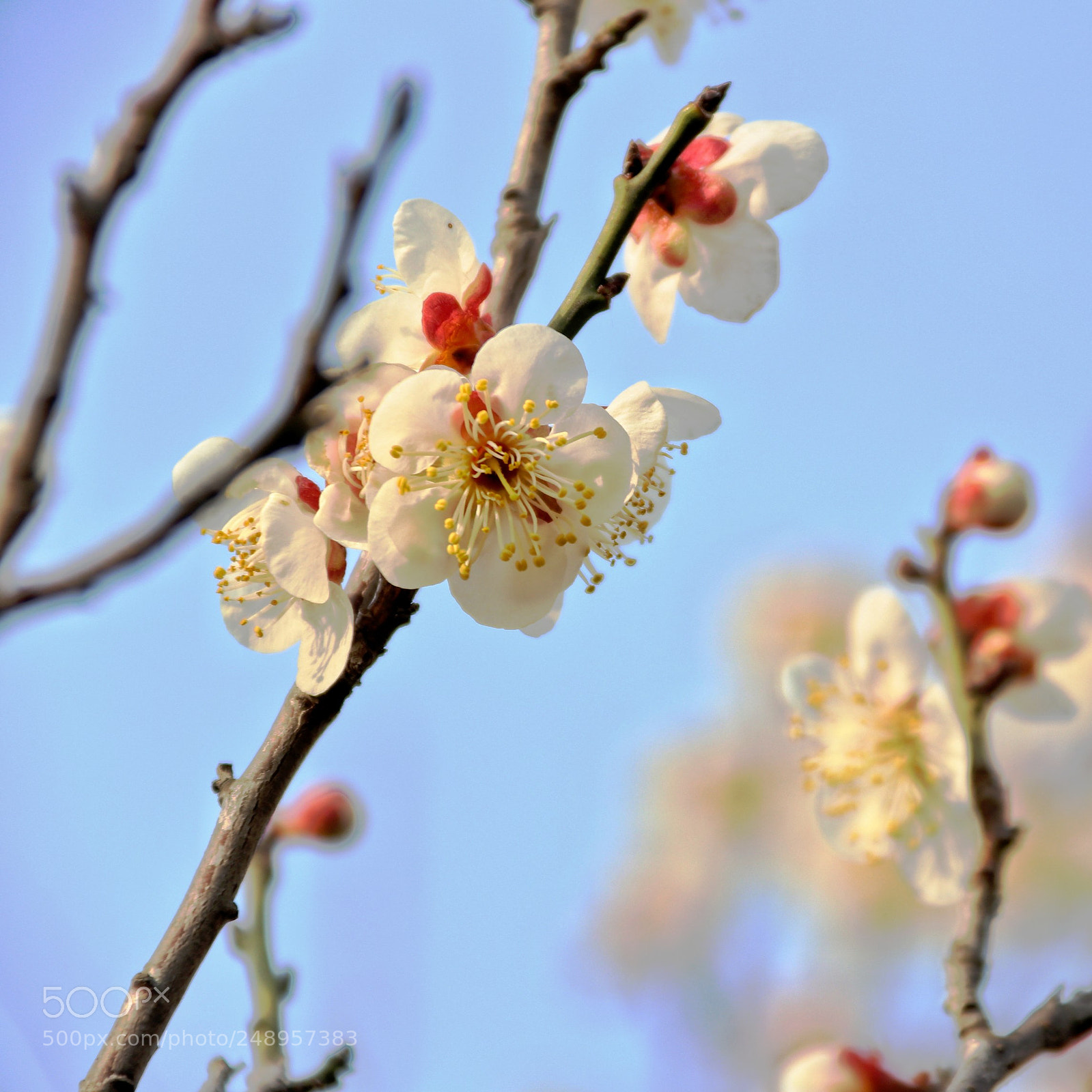 Canon EOS 80D sample photo. Untitled photography