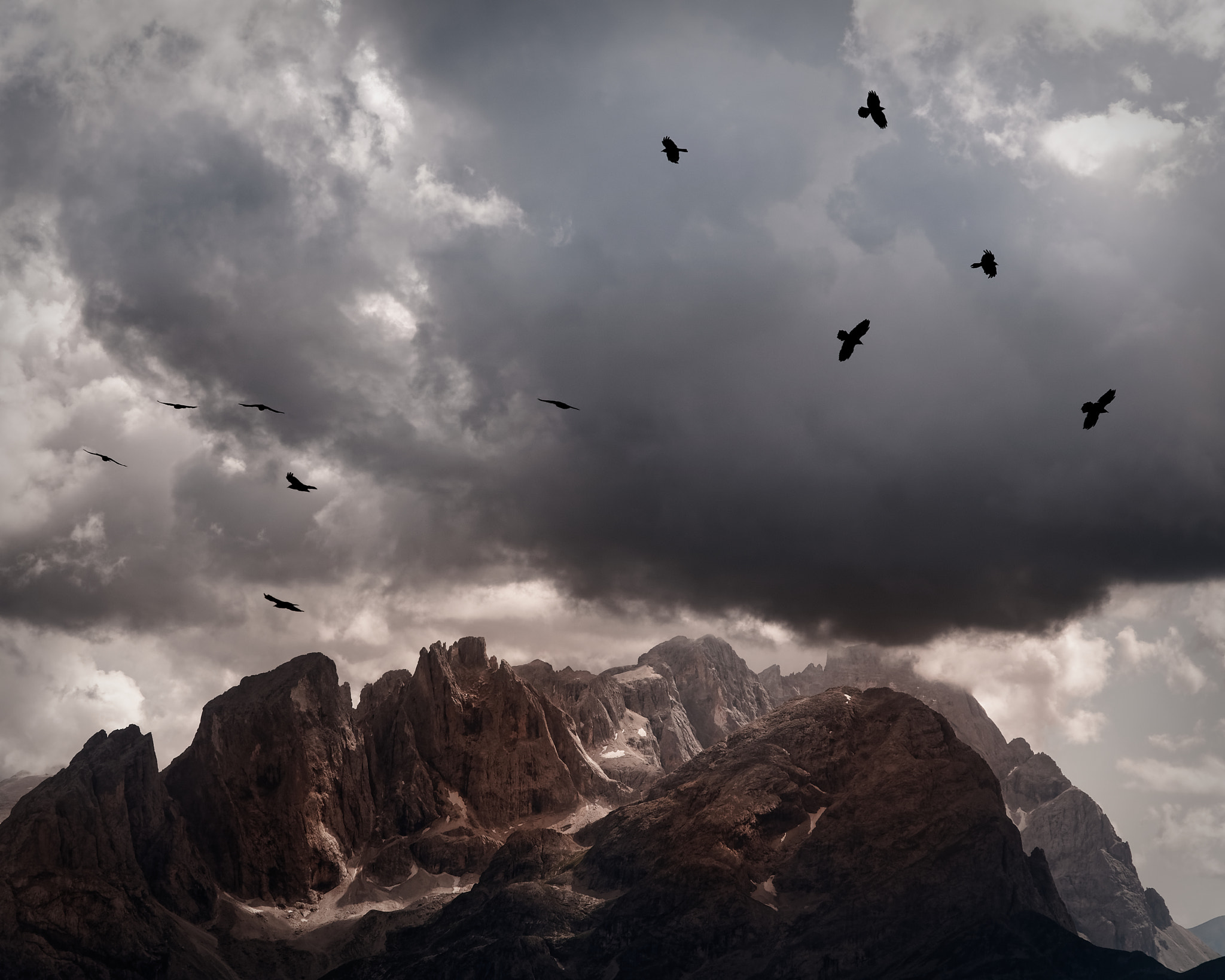 Nikon D300 sample photo. Gracchio alpini over the dolomites photography