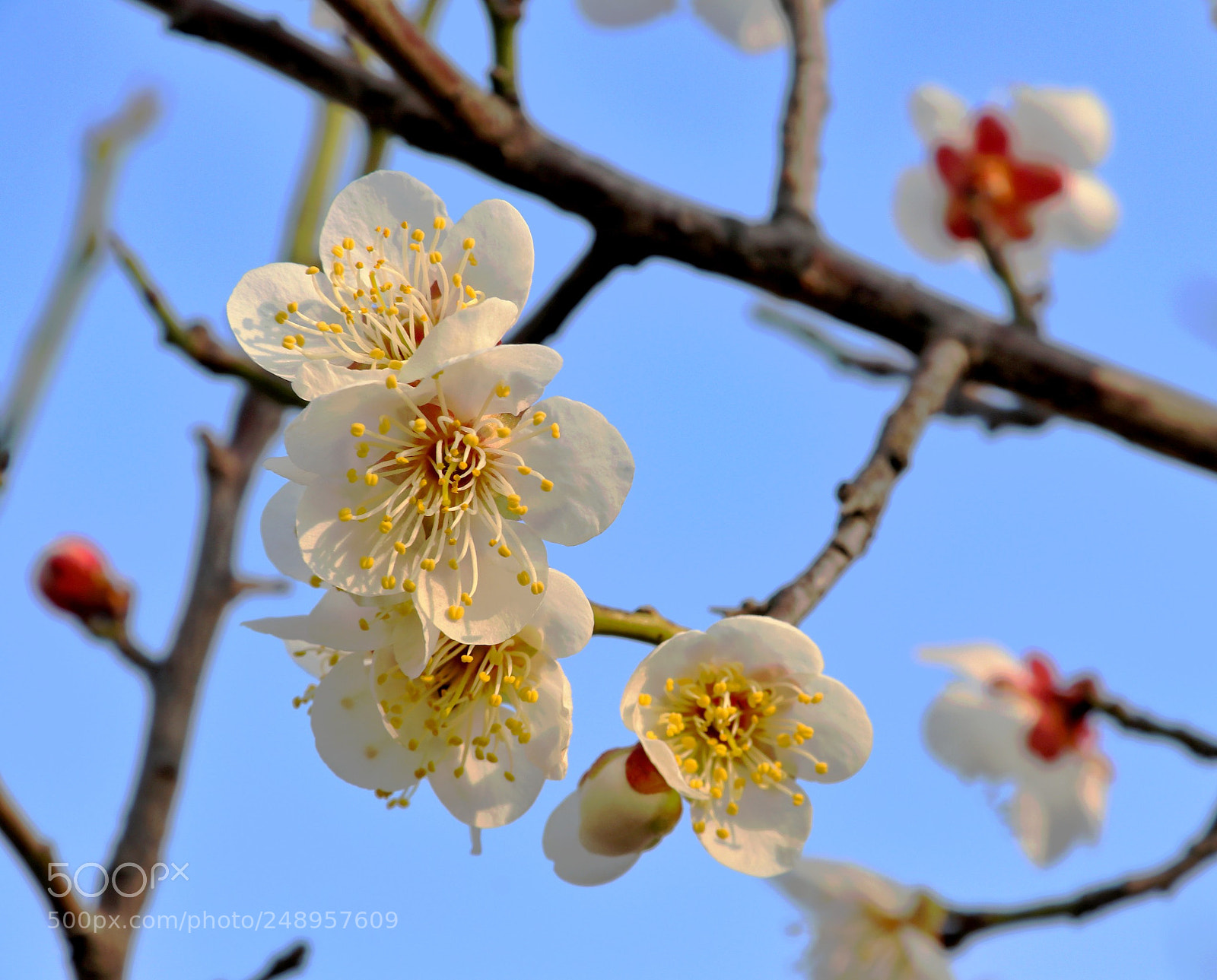 Canon EOS 80D sample photo. Untitled photography
