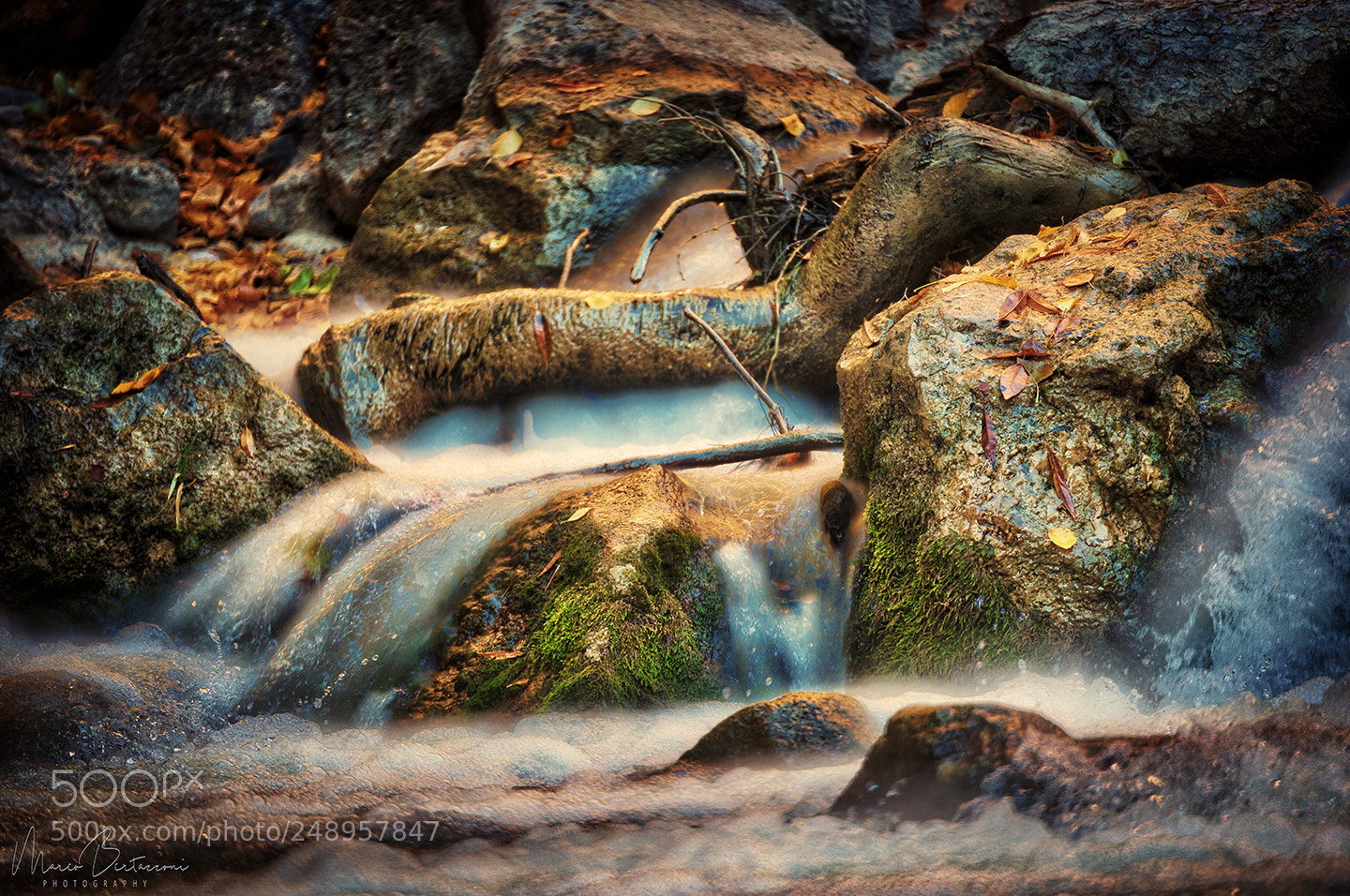 Nikon D810 sample photo. Wet waters in zion photography