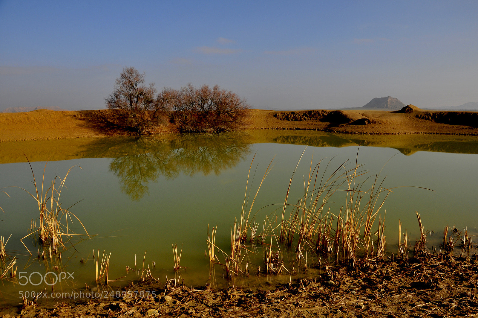 Nikon D300 sample photo. Untitled photography