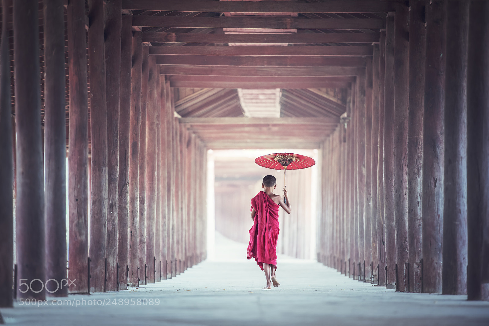 Nikon D810 sample photo. Novice monks walking on photography