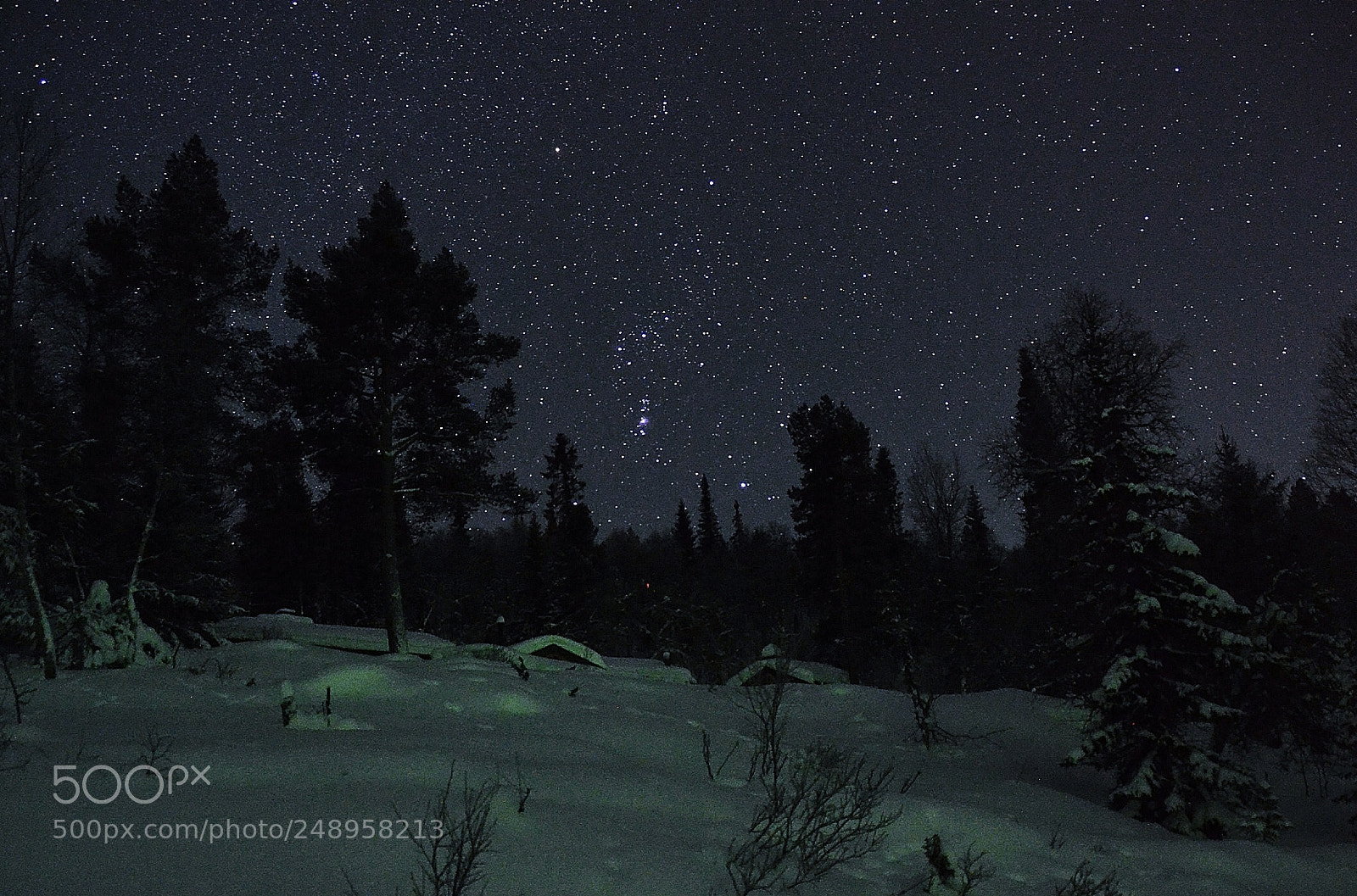 Nikon D7000 sample photo. Starry night photography