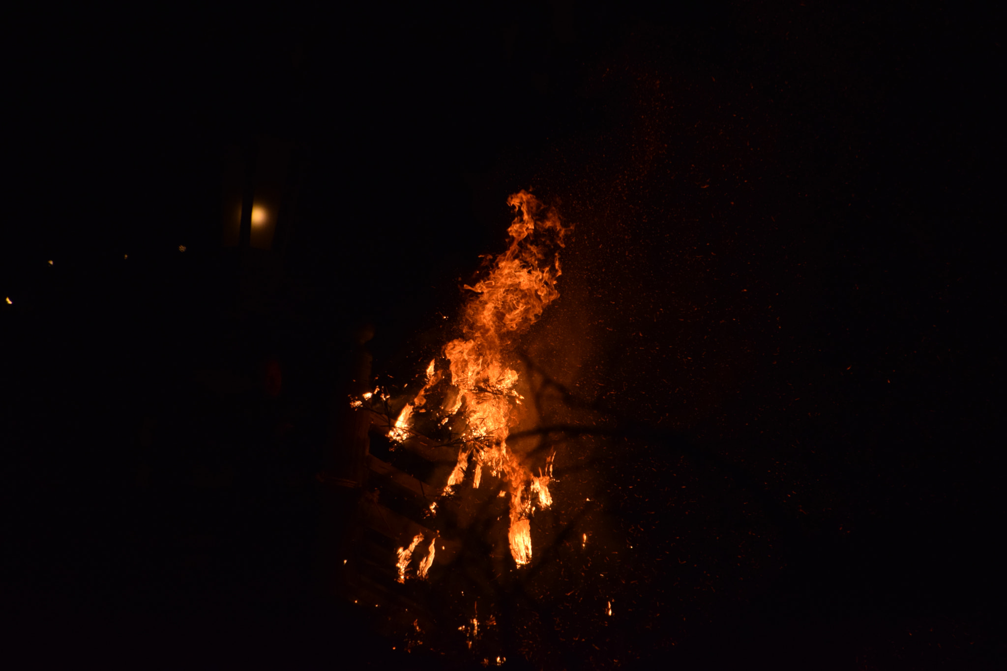 Nikon D3300 sample photo