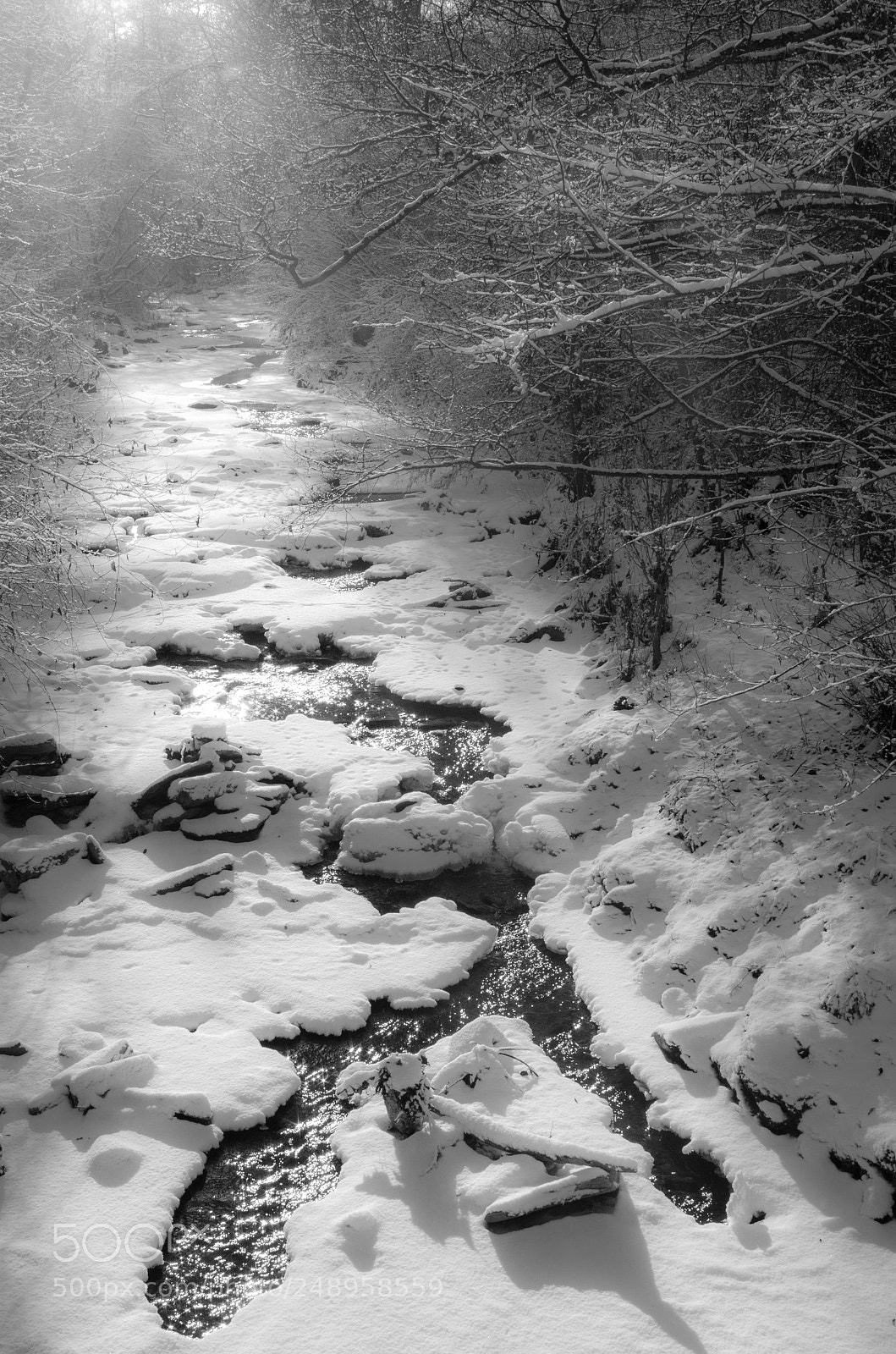 Pentax K-50 sample photo. Snowy stream course photography