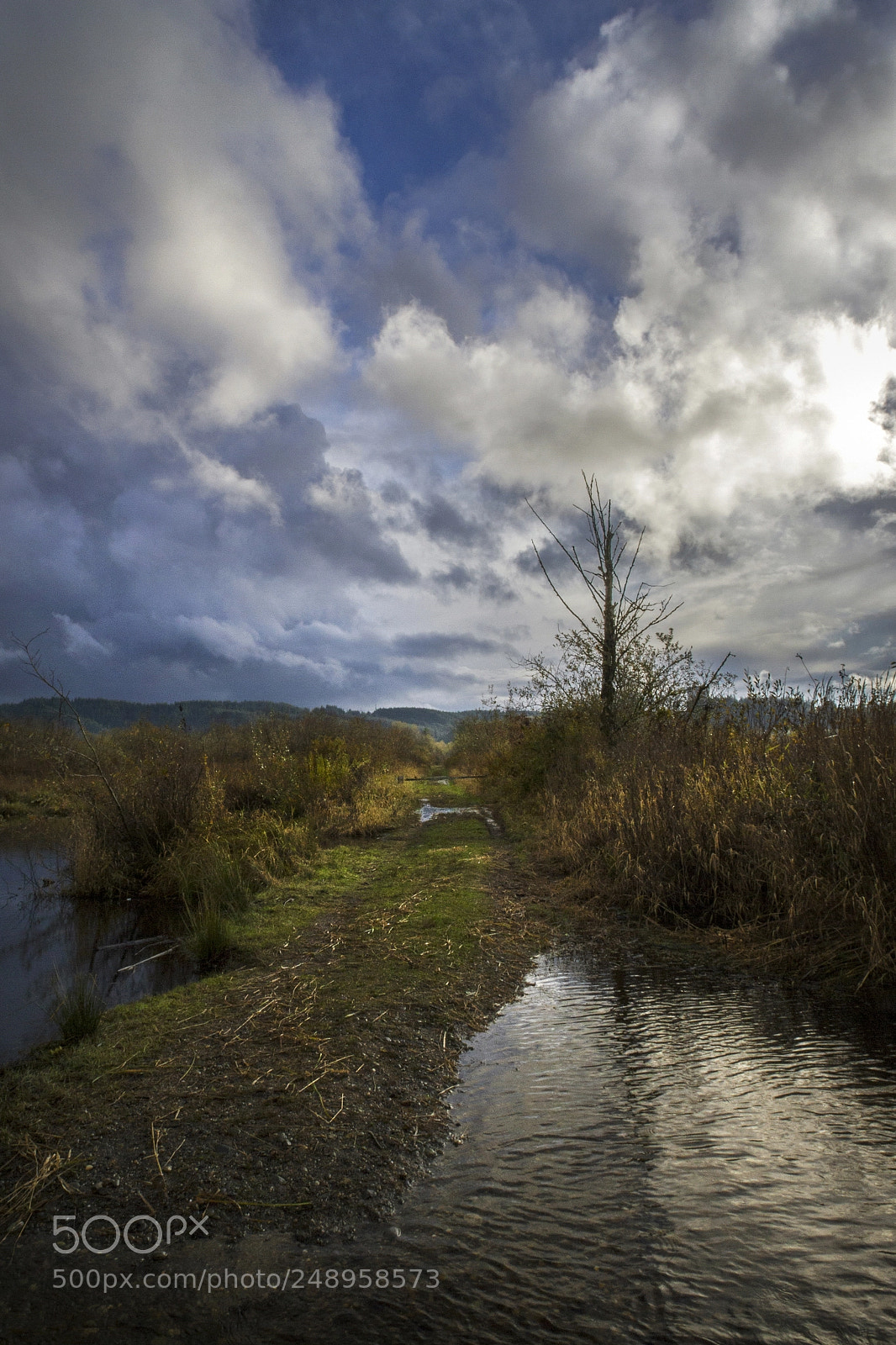 Canon EOS 7D sample photo. Shouweiler wetlands ii photography