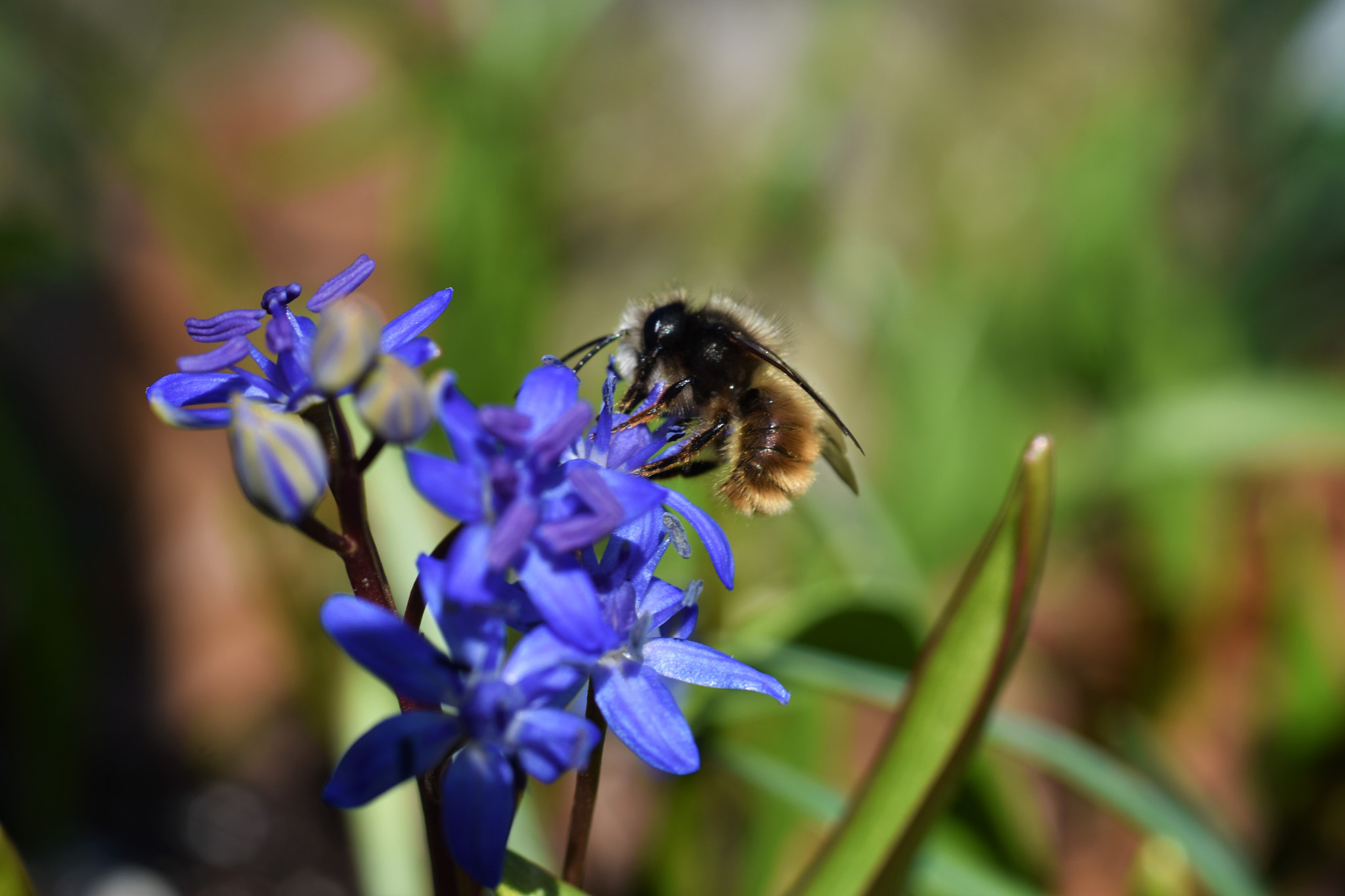 Nikon D3400 + Nikon AF-S Nikkor 50mm F1.8G sample photo. Dsc photography