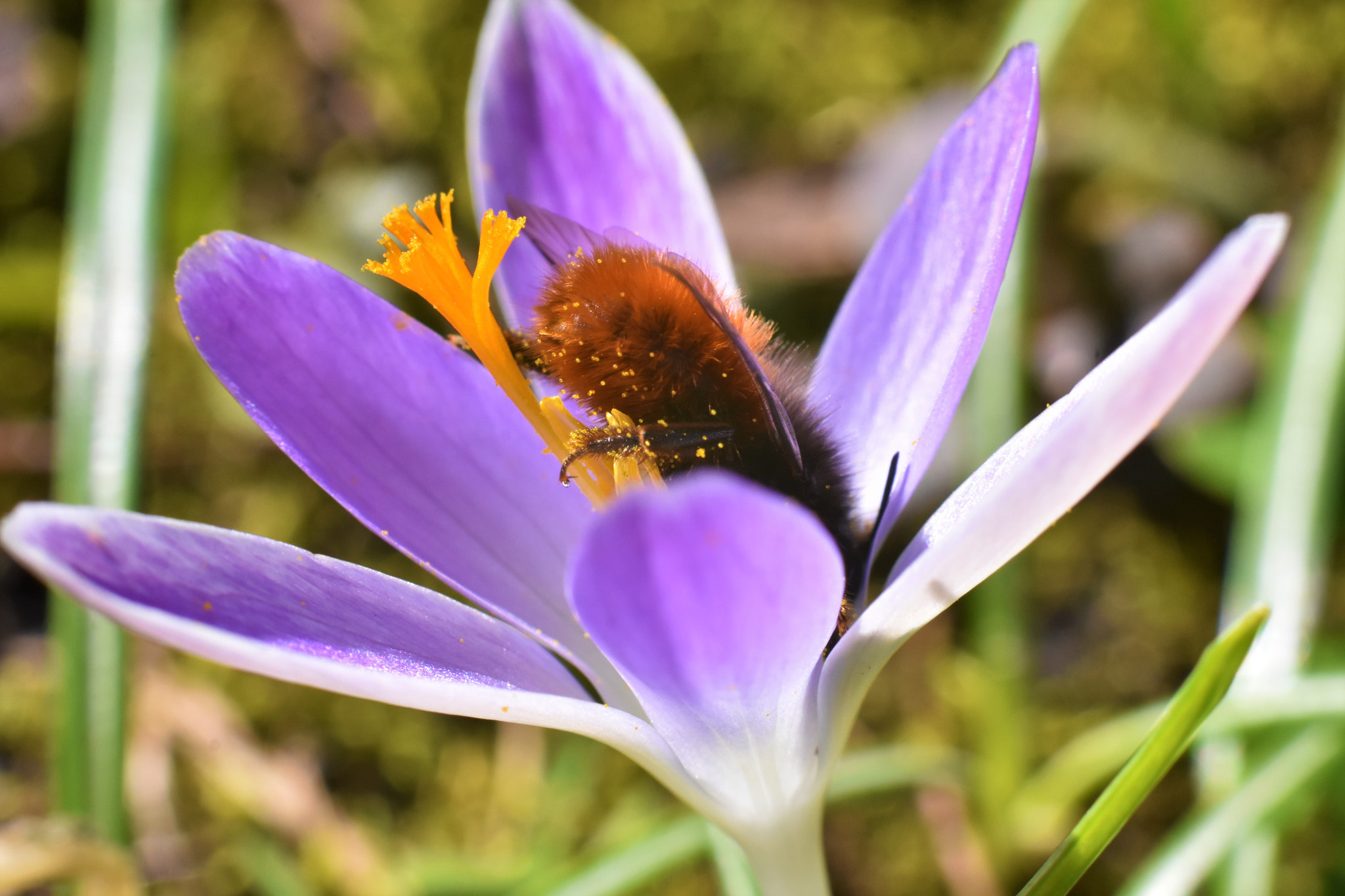 Nikon D3400 + Nikon AF-S Nikkor 50mm F1.8G sample photo. Dsc photography