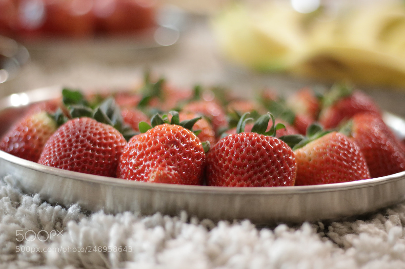Canon EOS 80D + Canon EF 50mm F1.8 STM sample photo. Untitled photography