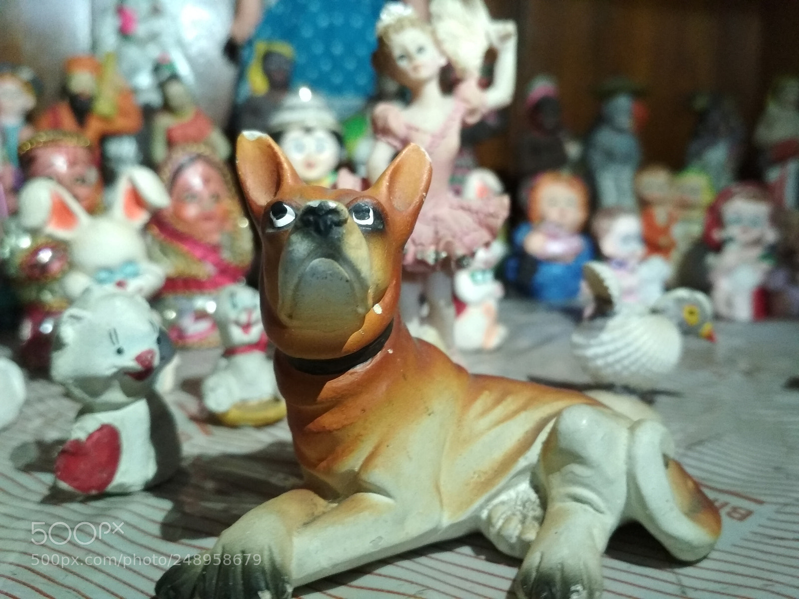 Xiaomi Redmi 4 Pro sample photo. Little dog photography