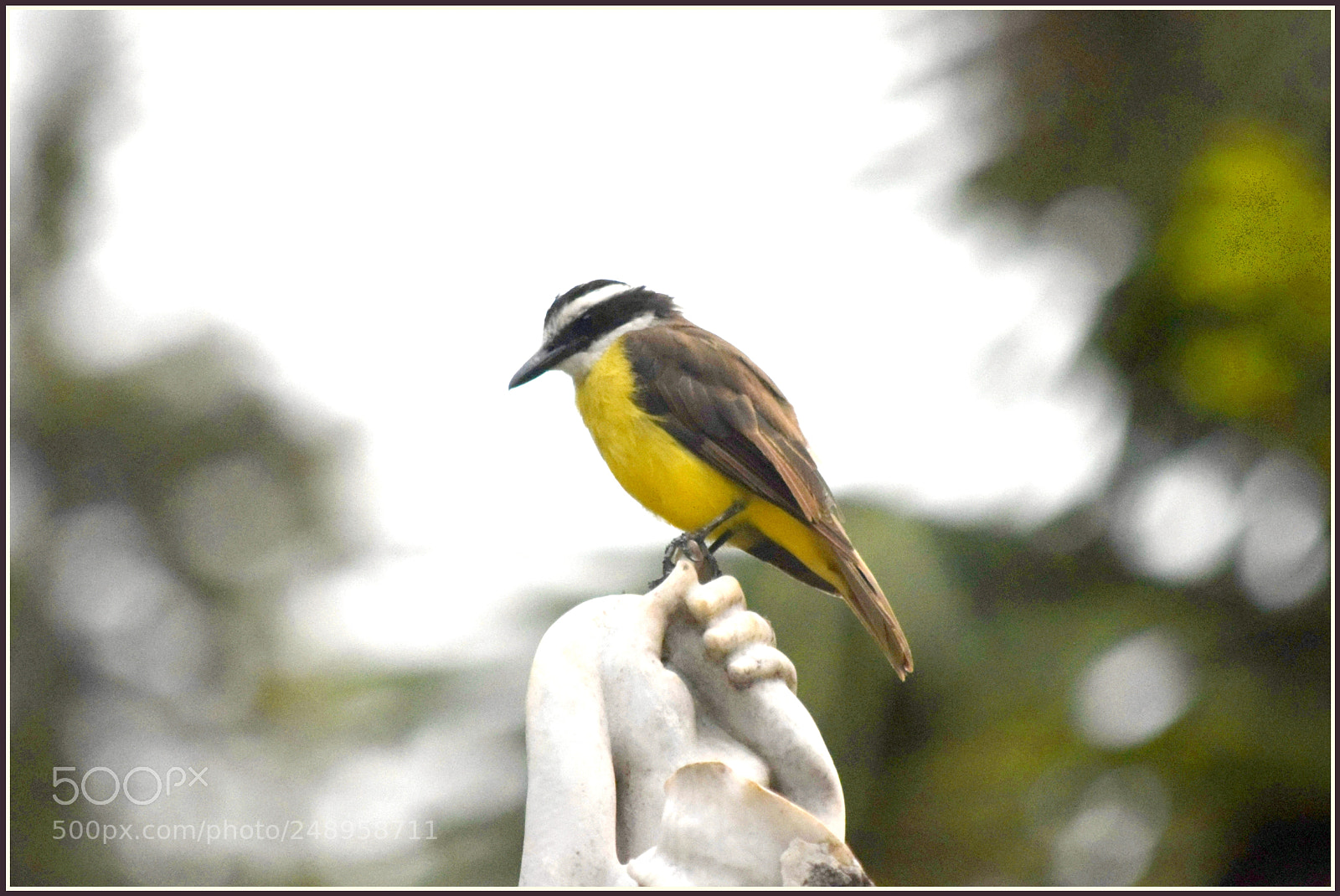 Nikon D5300 sample photo. Untitled photography