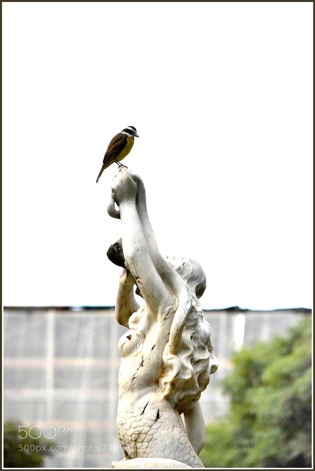 Nikon D5300 sample photo. Untitled photography