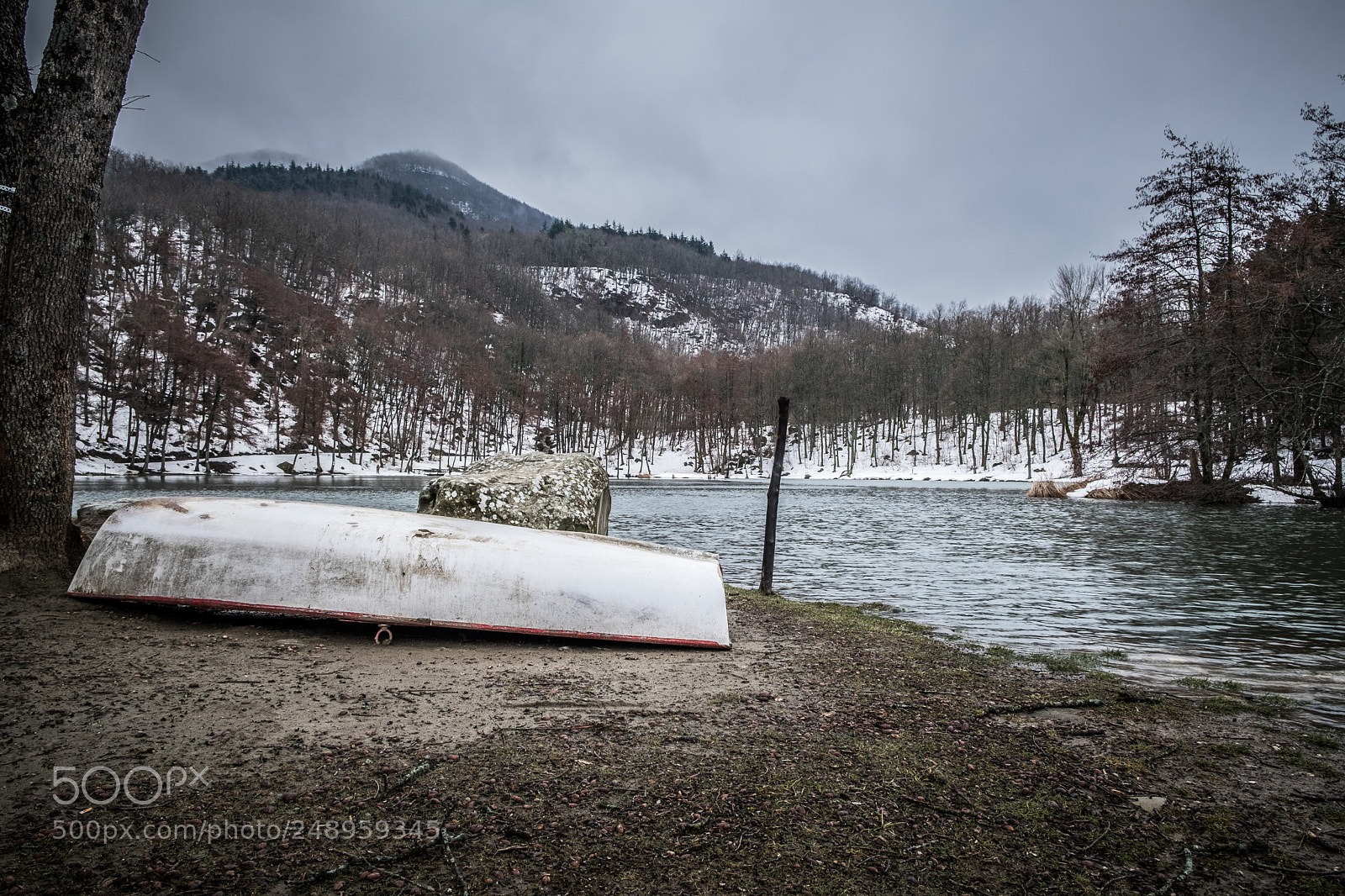 Fujifilm X-T2 sample photo. Untitled photography