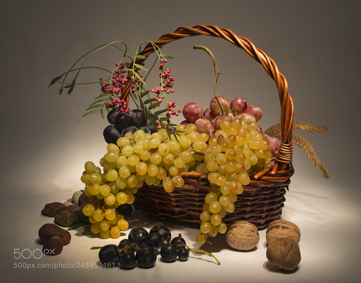 Nikon D610 sample photo. Grapes photography