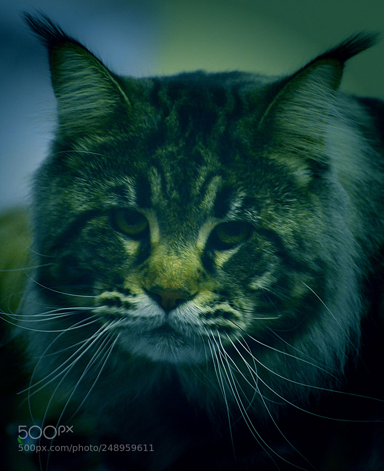 Nikon D7100 sample photo. Untitled photography