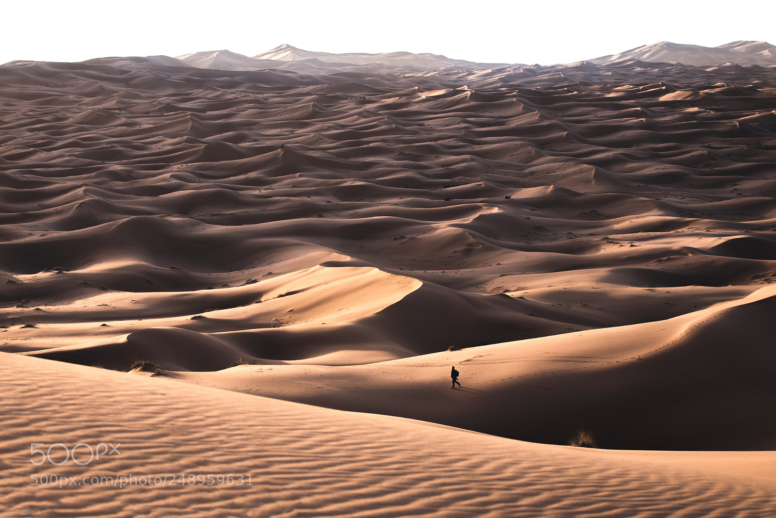 Nikon D610 sample photo. Sahara photography