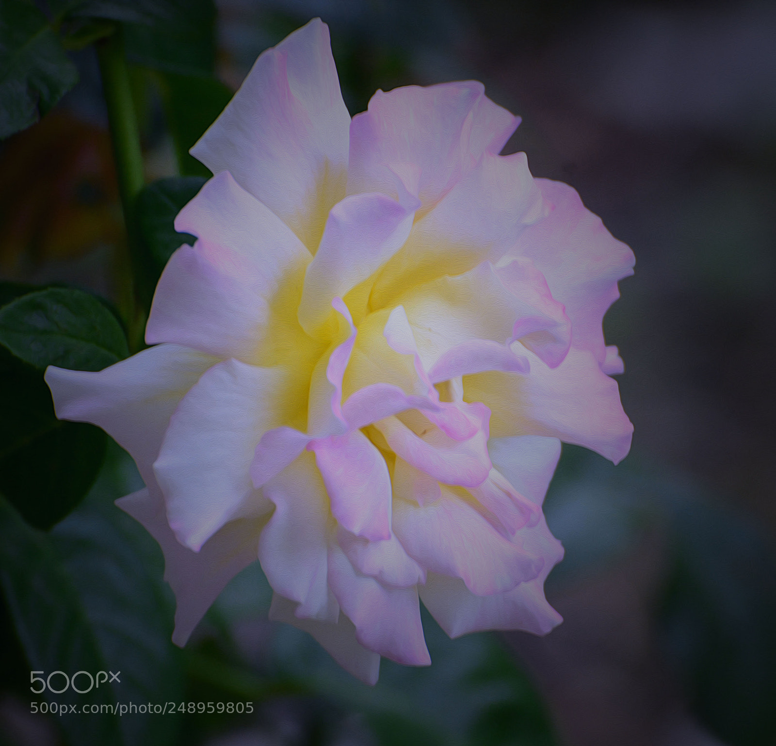 Nikon D7100 sample photo. Untitled photography