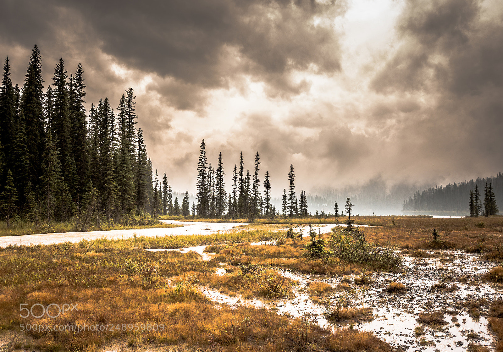 Nikon D7200 sample photo. Emerald lake photography