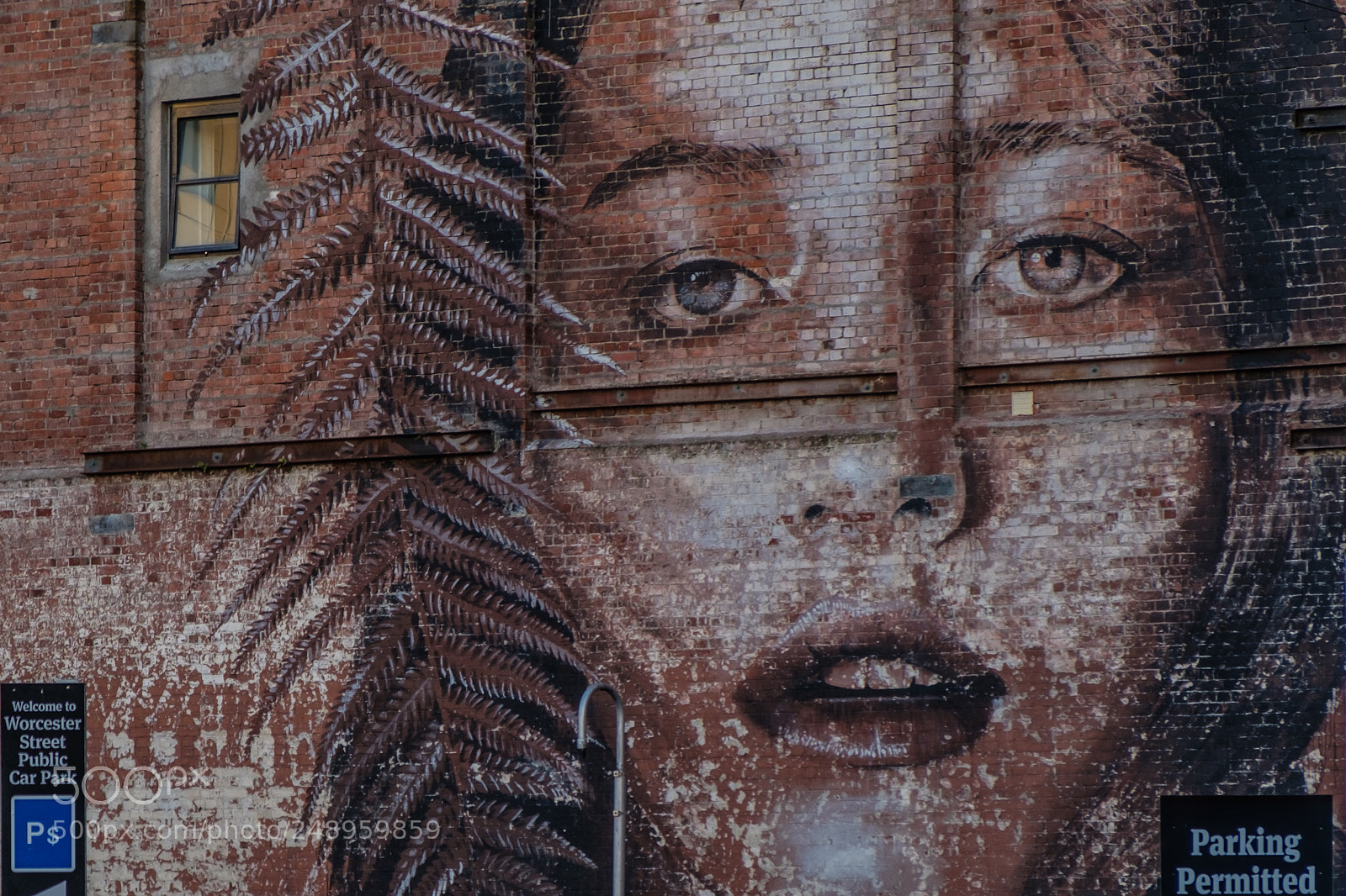 Fujifilm X-T2 sample photo. Blue eyes photography