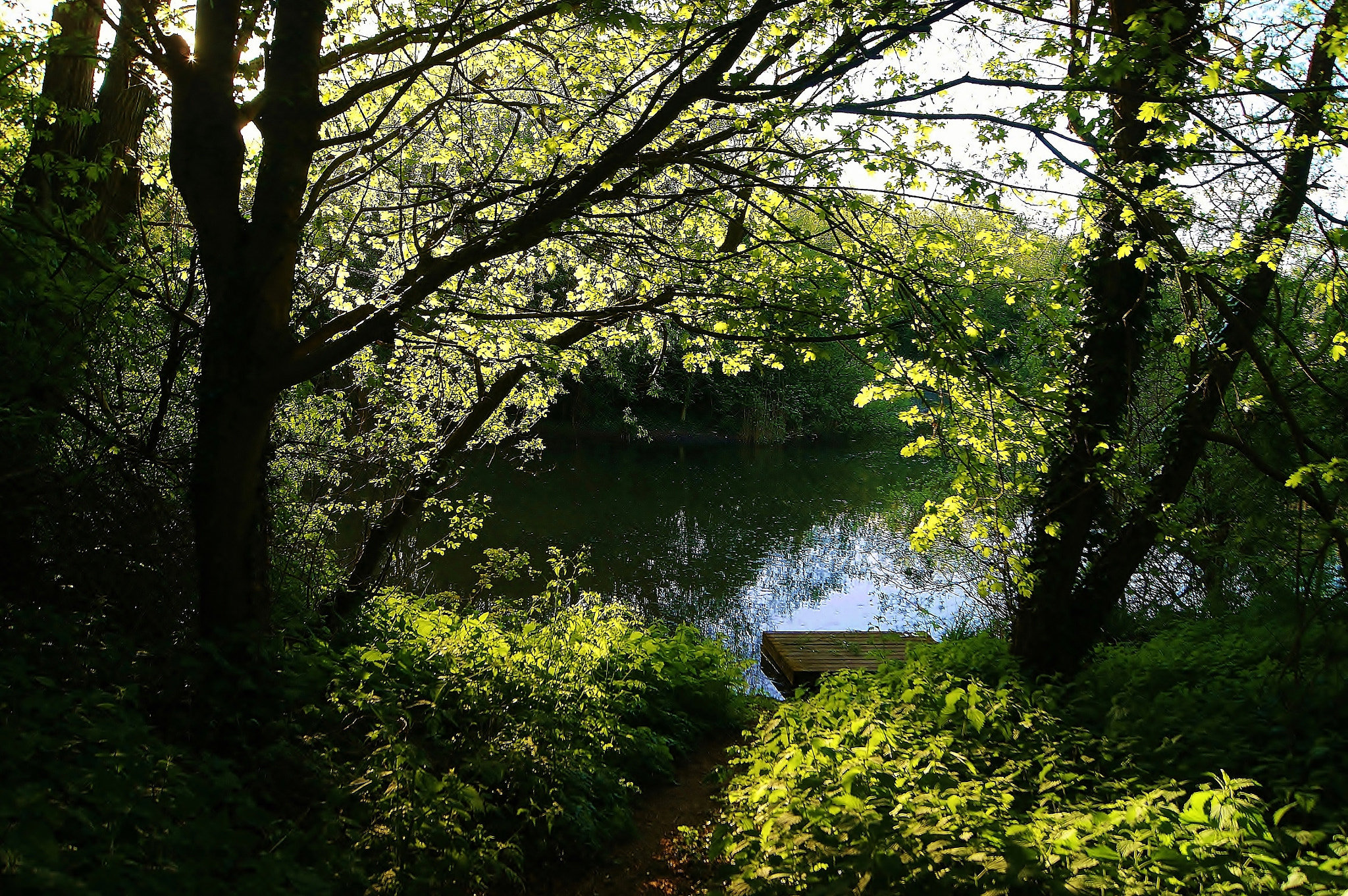 Sony Alpha DSLR-A380 sample photo. Spring green ... photography