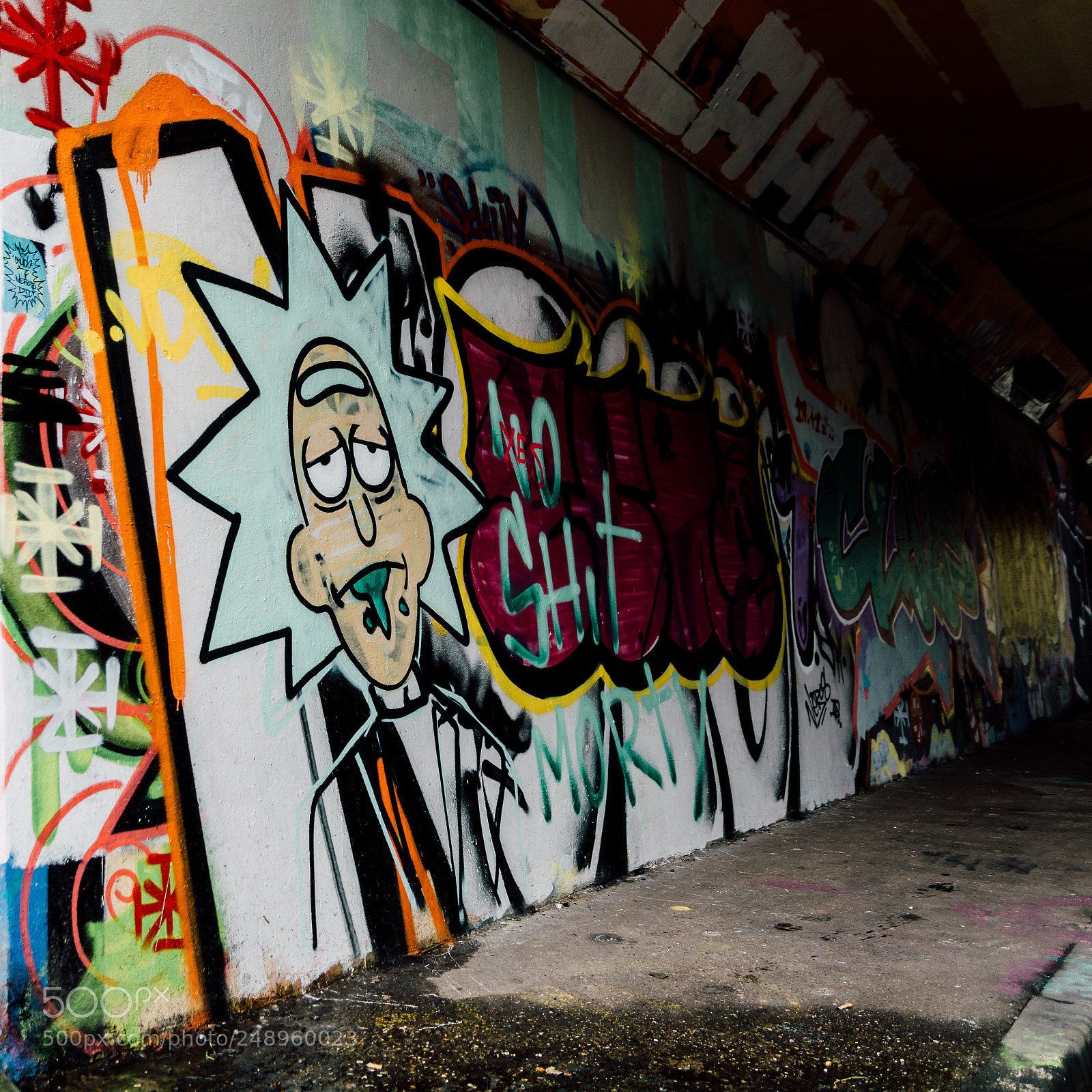 Nikon D7100 sample photo. The bridge (3) photography
