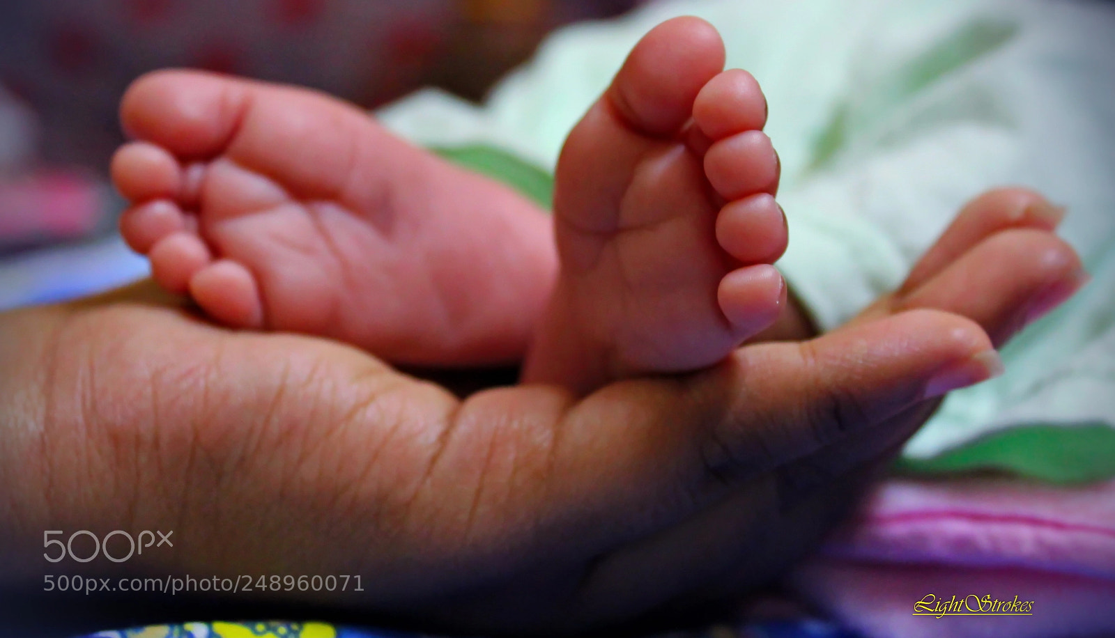 Canon EOS 1200D (EOS Rebel T5 / EOS Kiss X70 / EOS Hi) sample photo. Tiny feet photography
