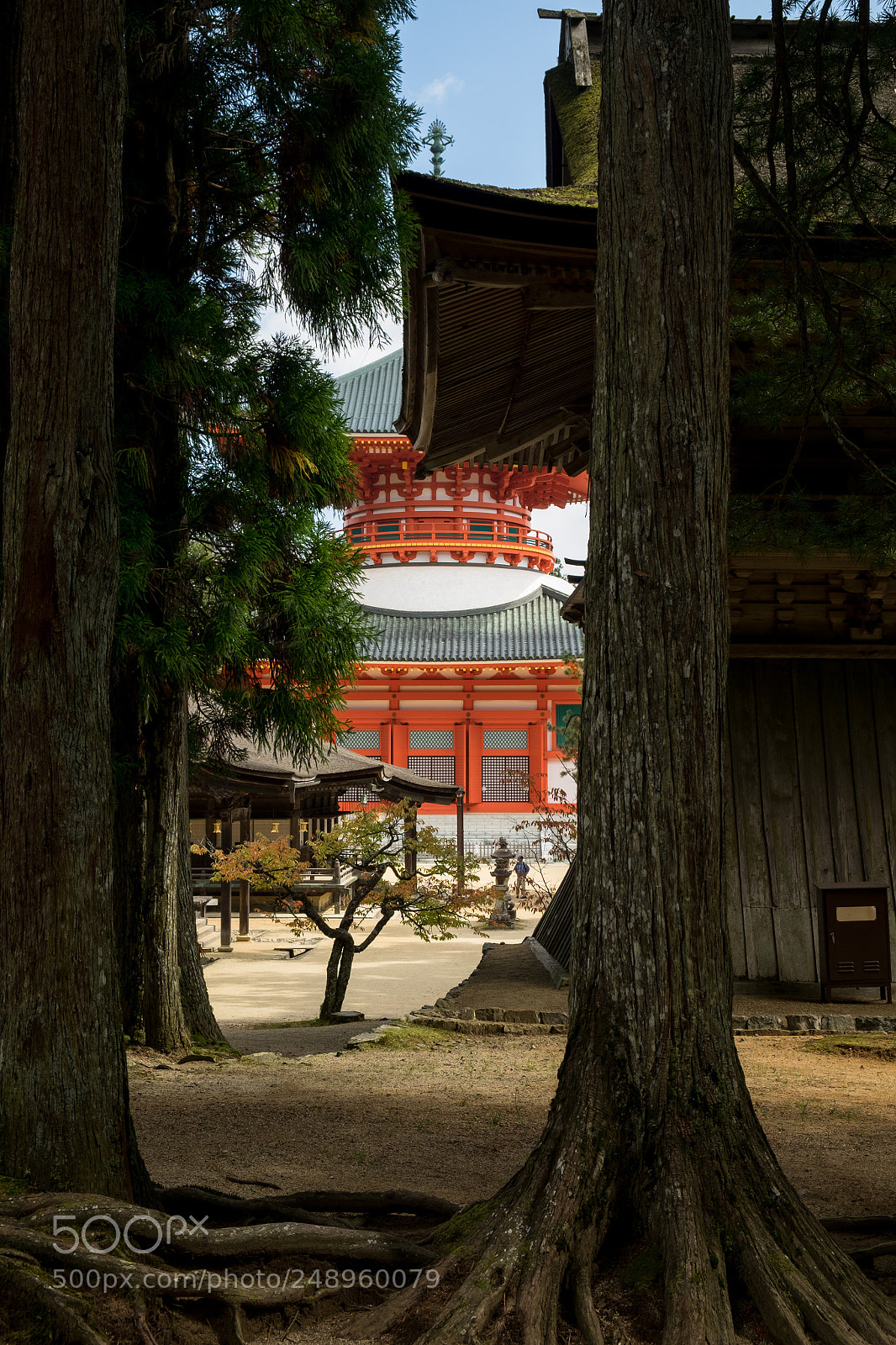 Fujifilm X-T1 sample photo. Between the buttons photography