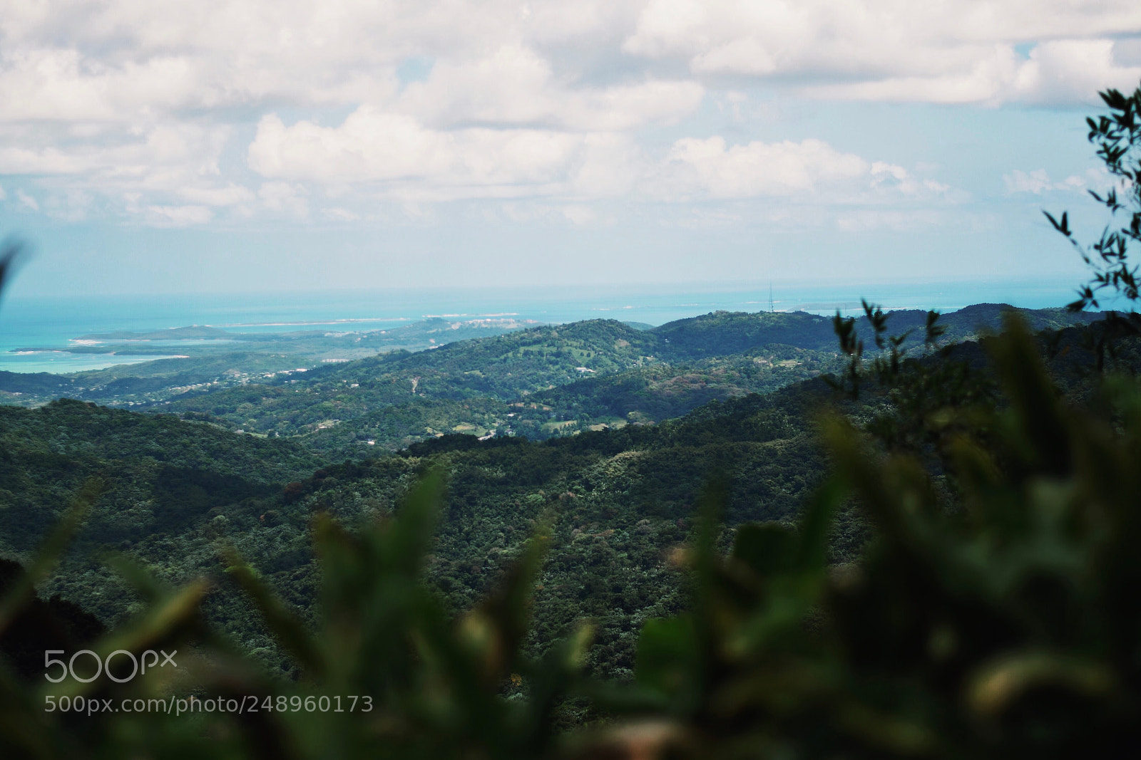 Nikon D3300 sample photo. Puerto rico... just so photography