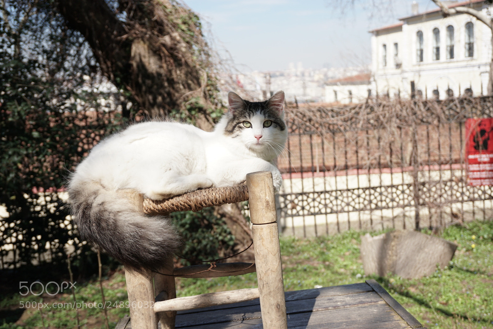 Sony a6000 sample photo. Gülhane parkı photography