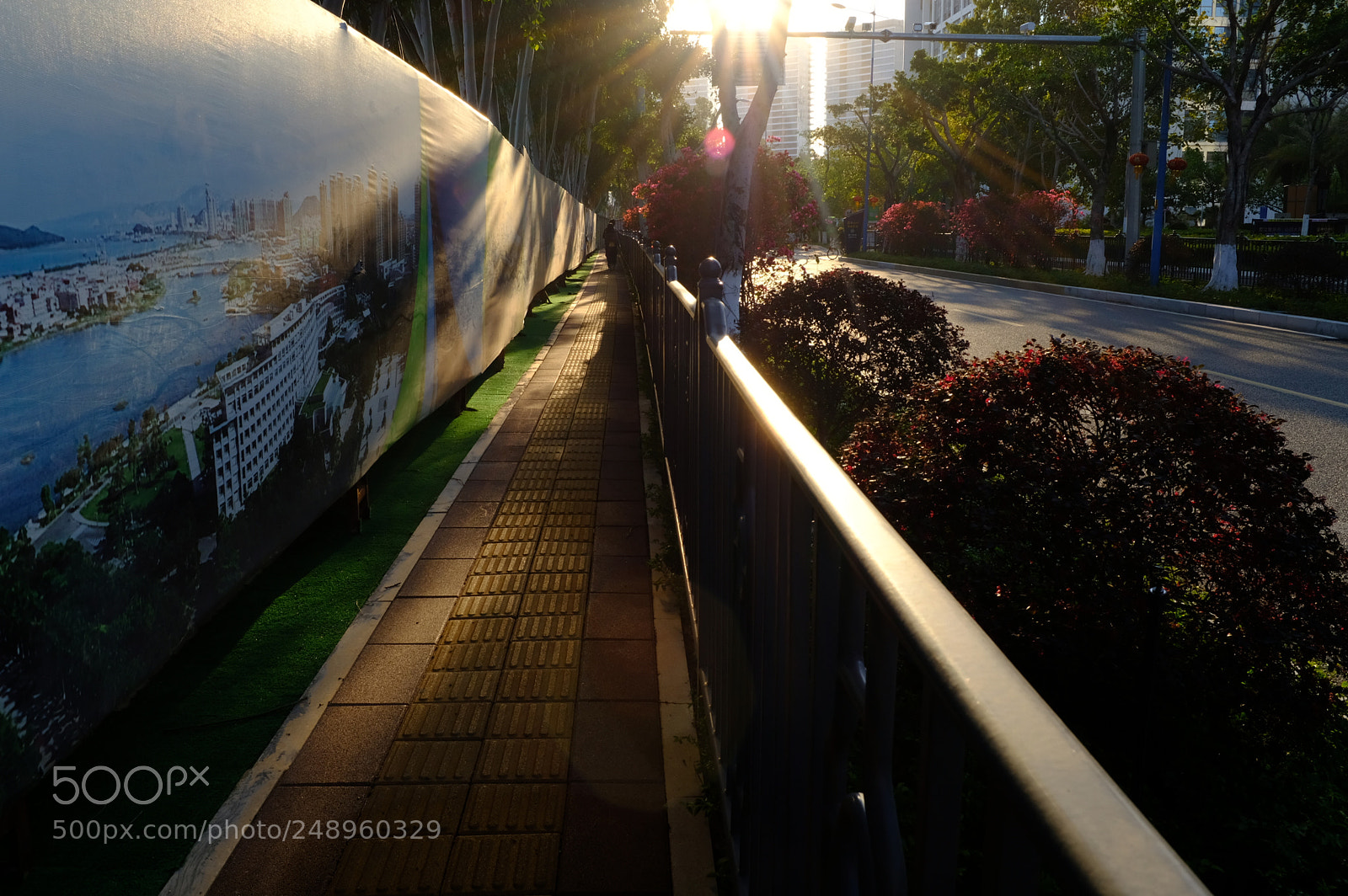 Fujifilm X100F sample photo. Untitled photography