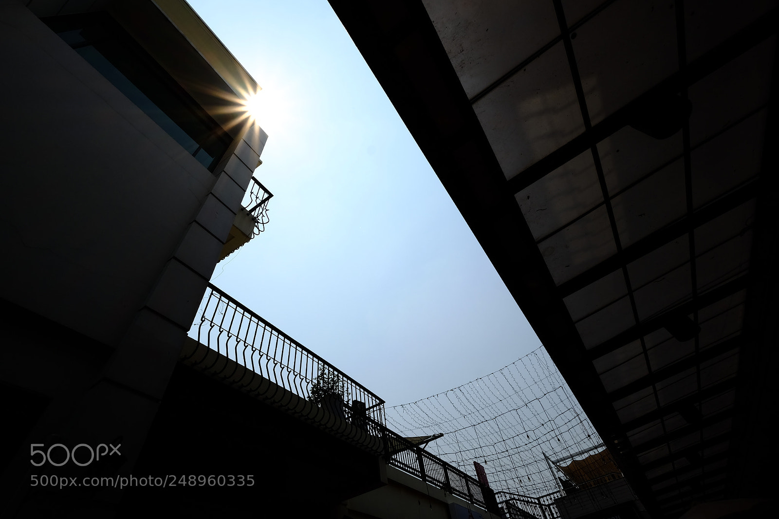 Fujifilm X-T10 sample photo. #exotic photography