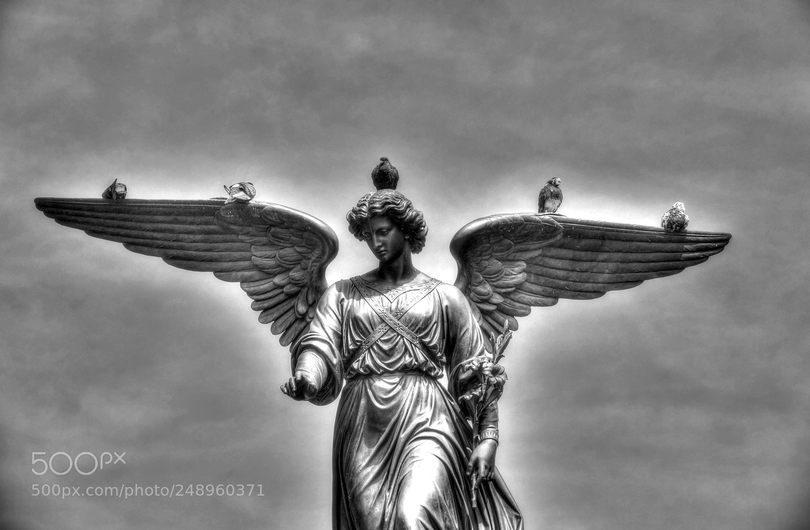 Panasonic Lumix DMC-FZ1000 sample photo. Angel photography