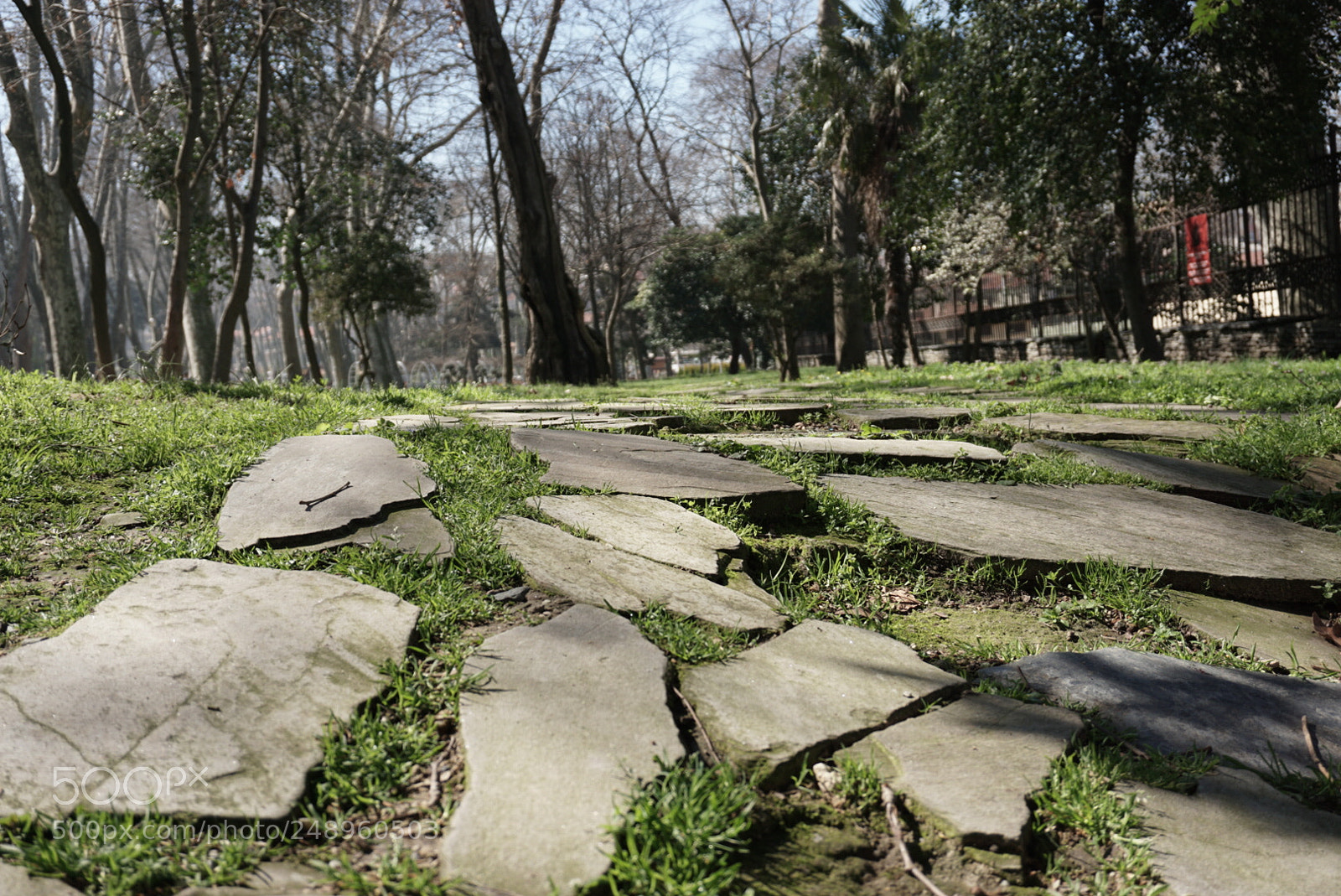 Sony a6000 sample photo. Gülhane parkı photography