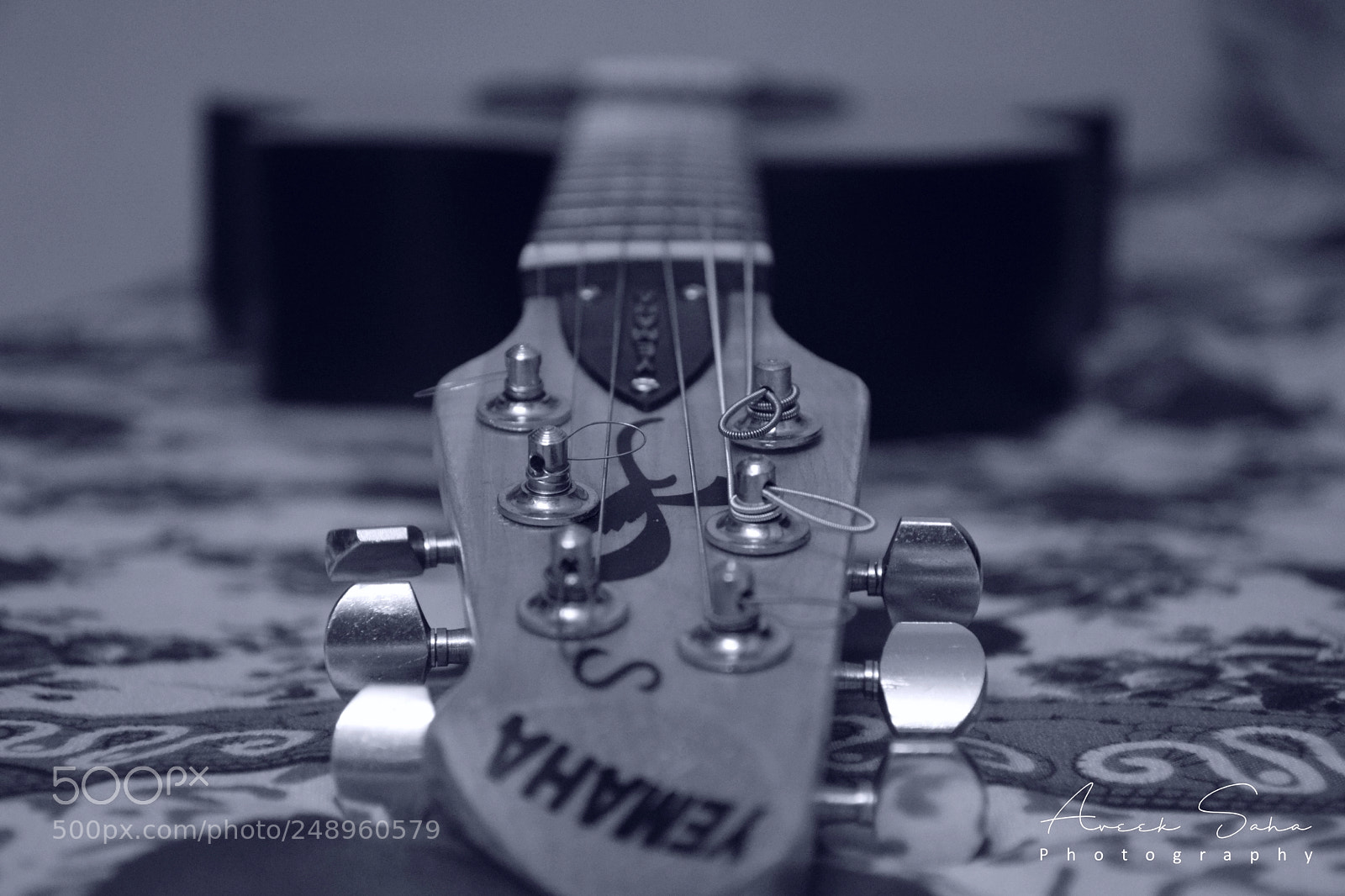 Nikon D5300 sample photo. Guitar photography