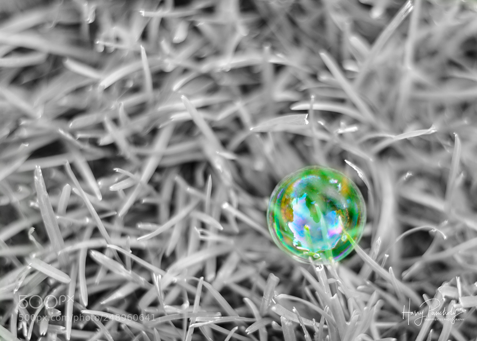 Nikon D610 sample photo. Bubble photography