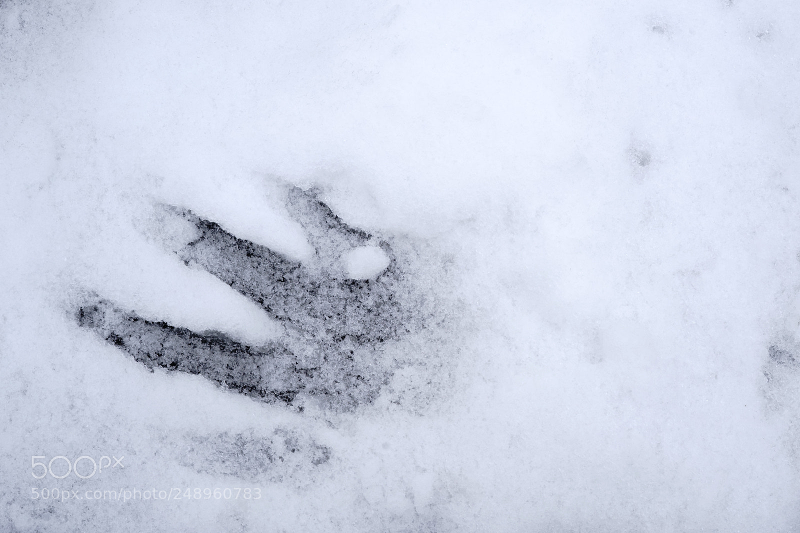 Sony a7 II sample photo. Handprint in the snow photography
