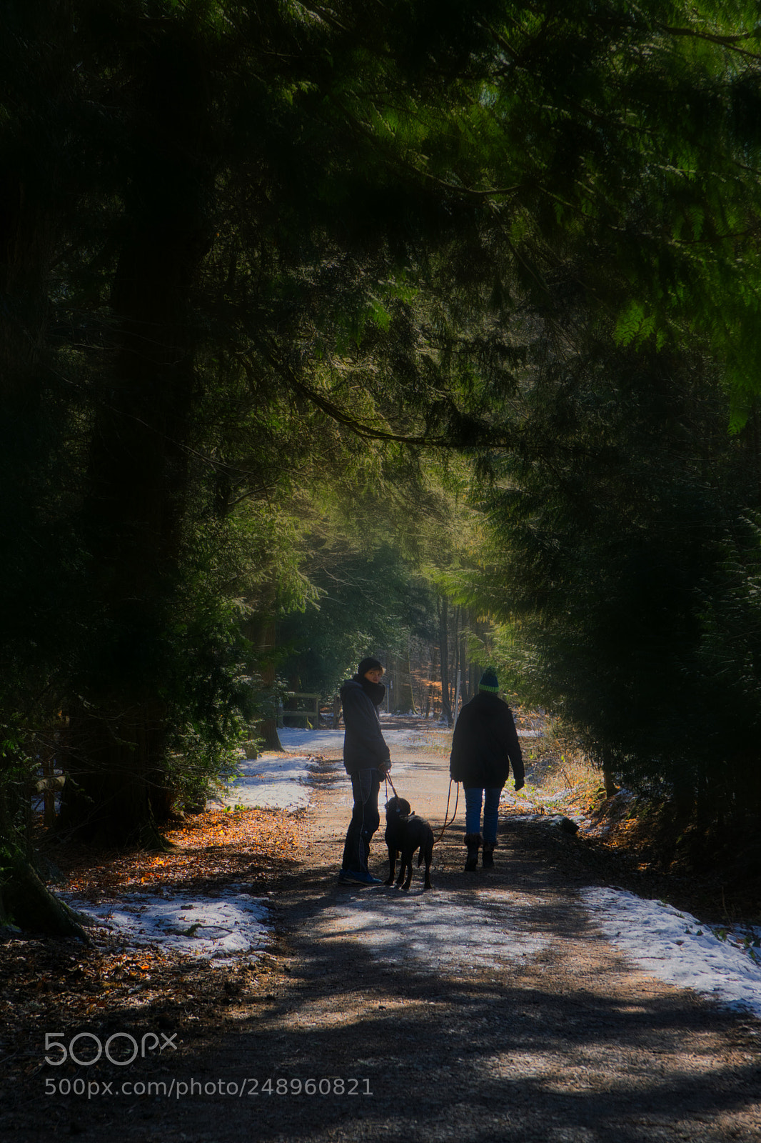 Sony a6000 sample photo. Lichtweg photography