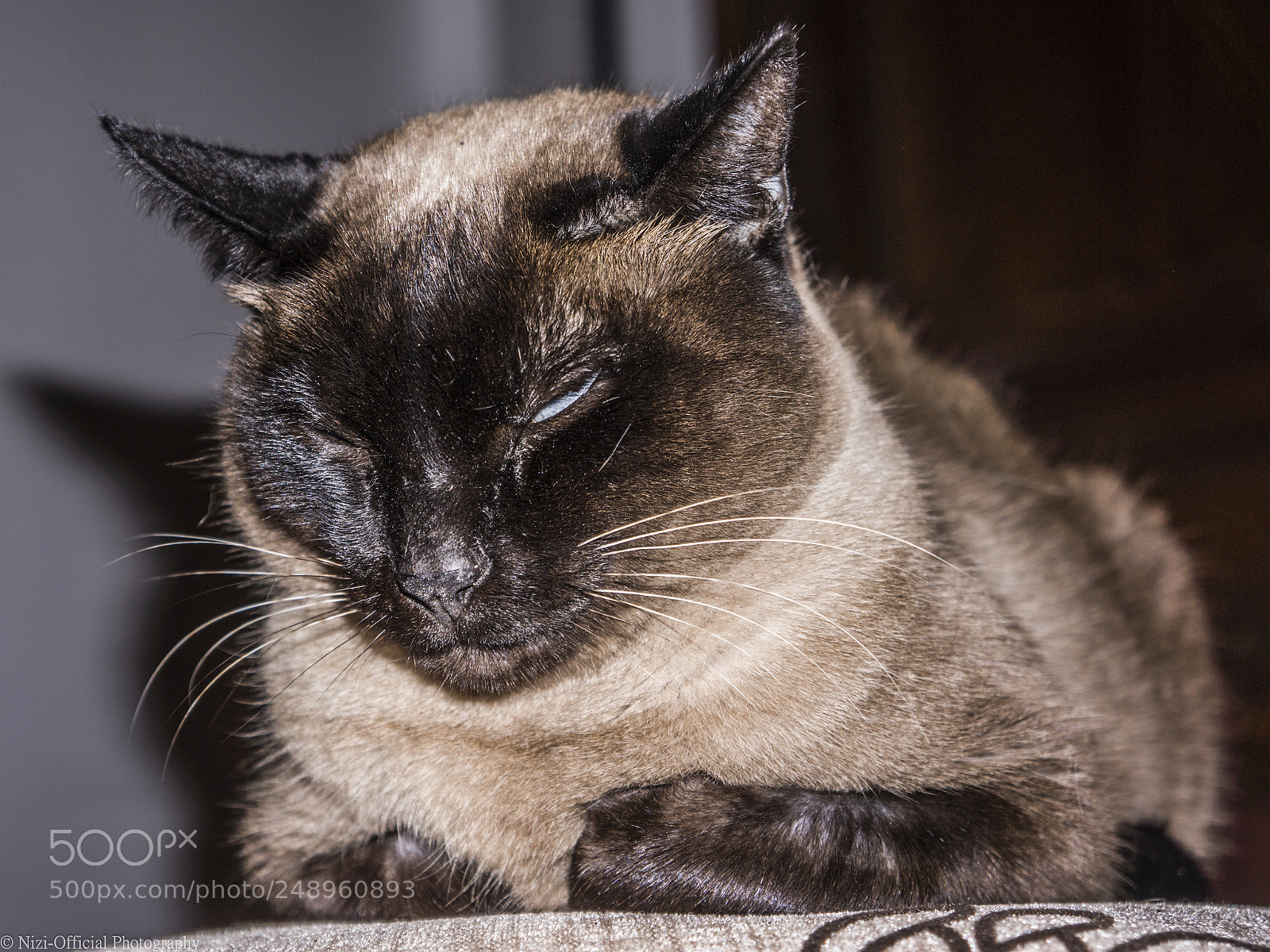 Sony Alpha NEX-7 sample photo. The fabulous minettte photography