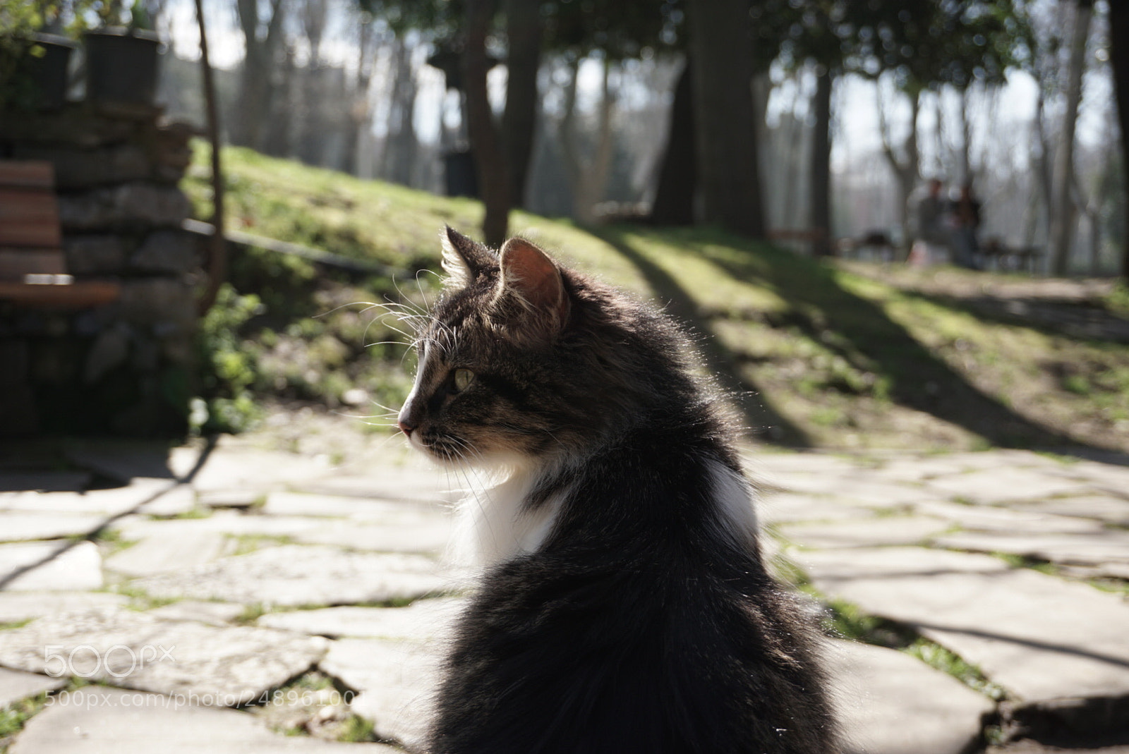 Sony a6000 sample photo. Gülhane parkı photography