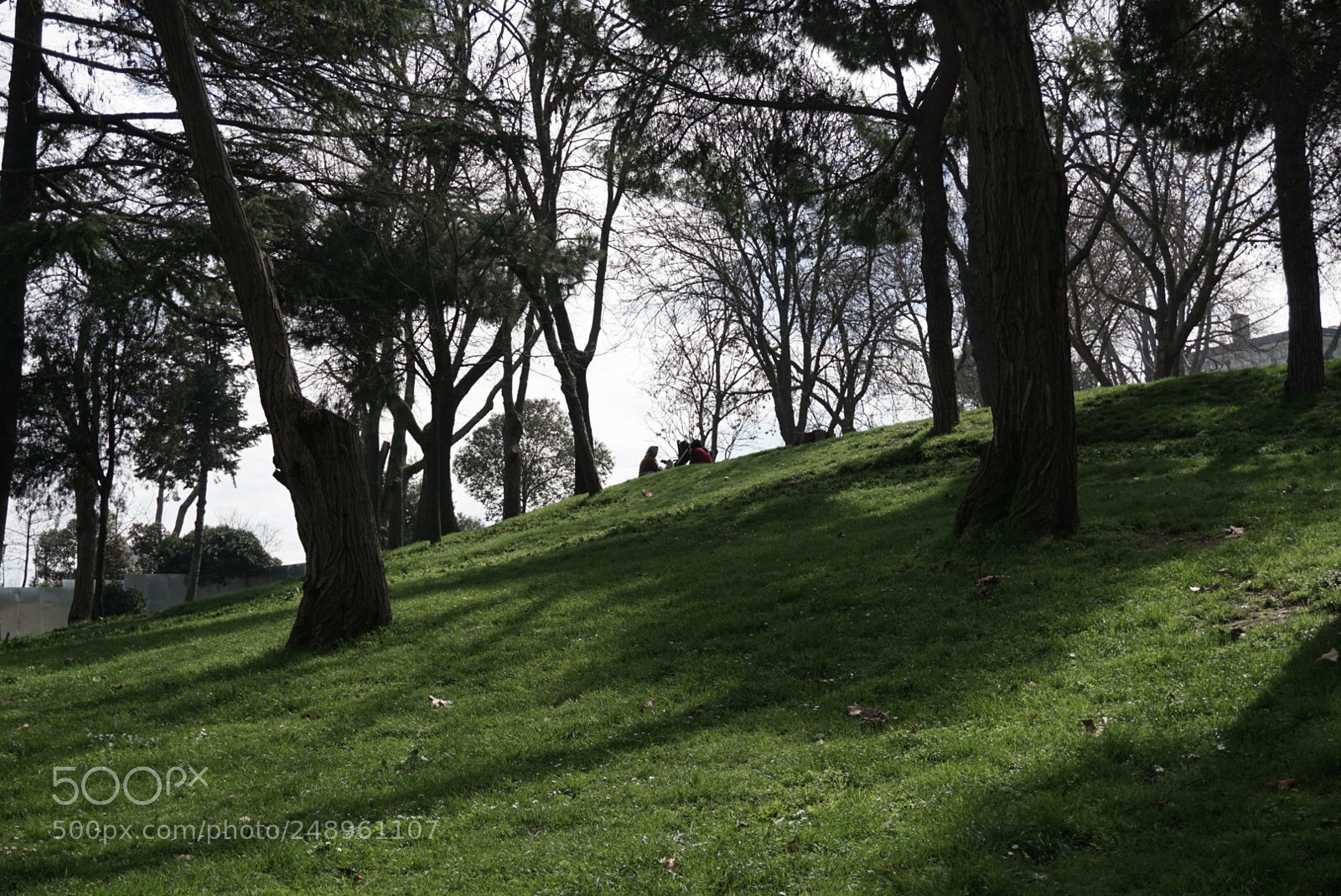 Sony a6000 sample photo. Gülhane parkı photography