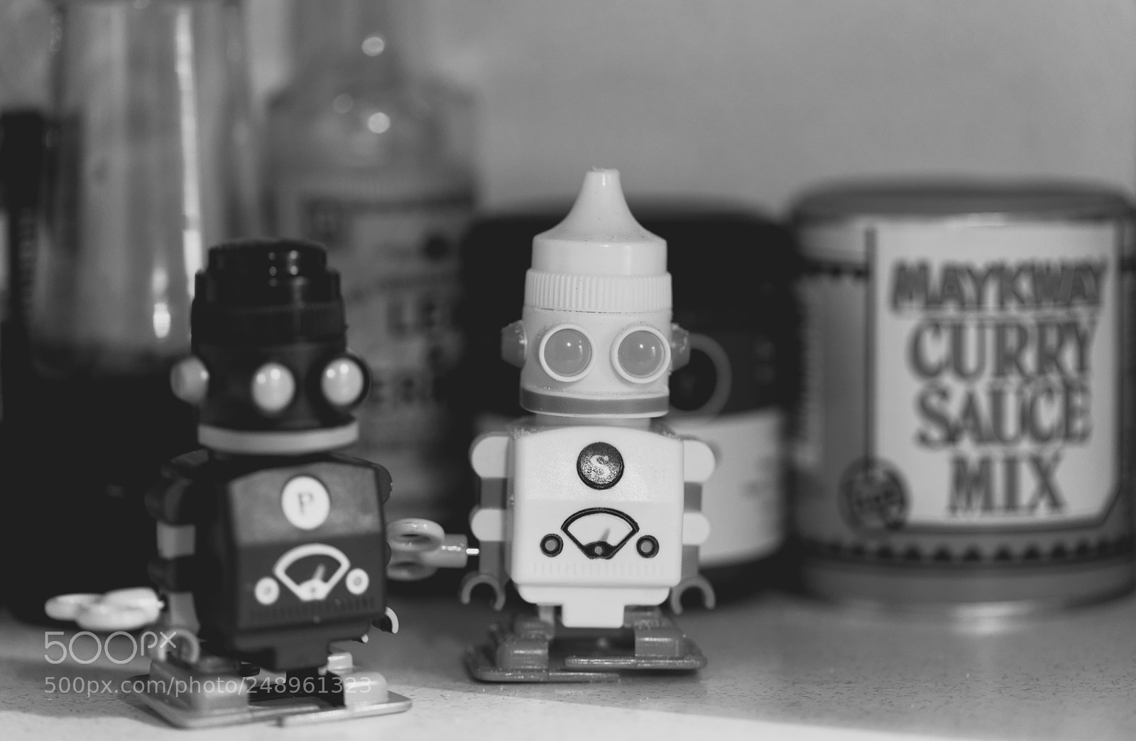 Canon EOS 5DS sample photo. Salt and pepper bots photography