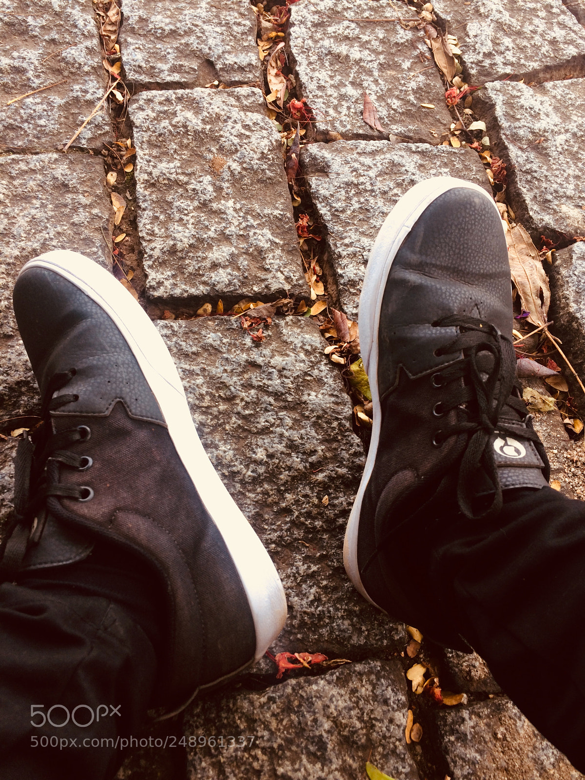 Apple iPhone 5s sample photo. Untitled photography