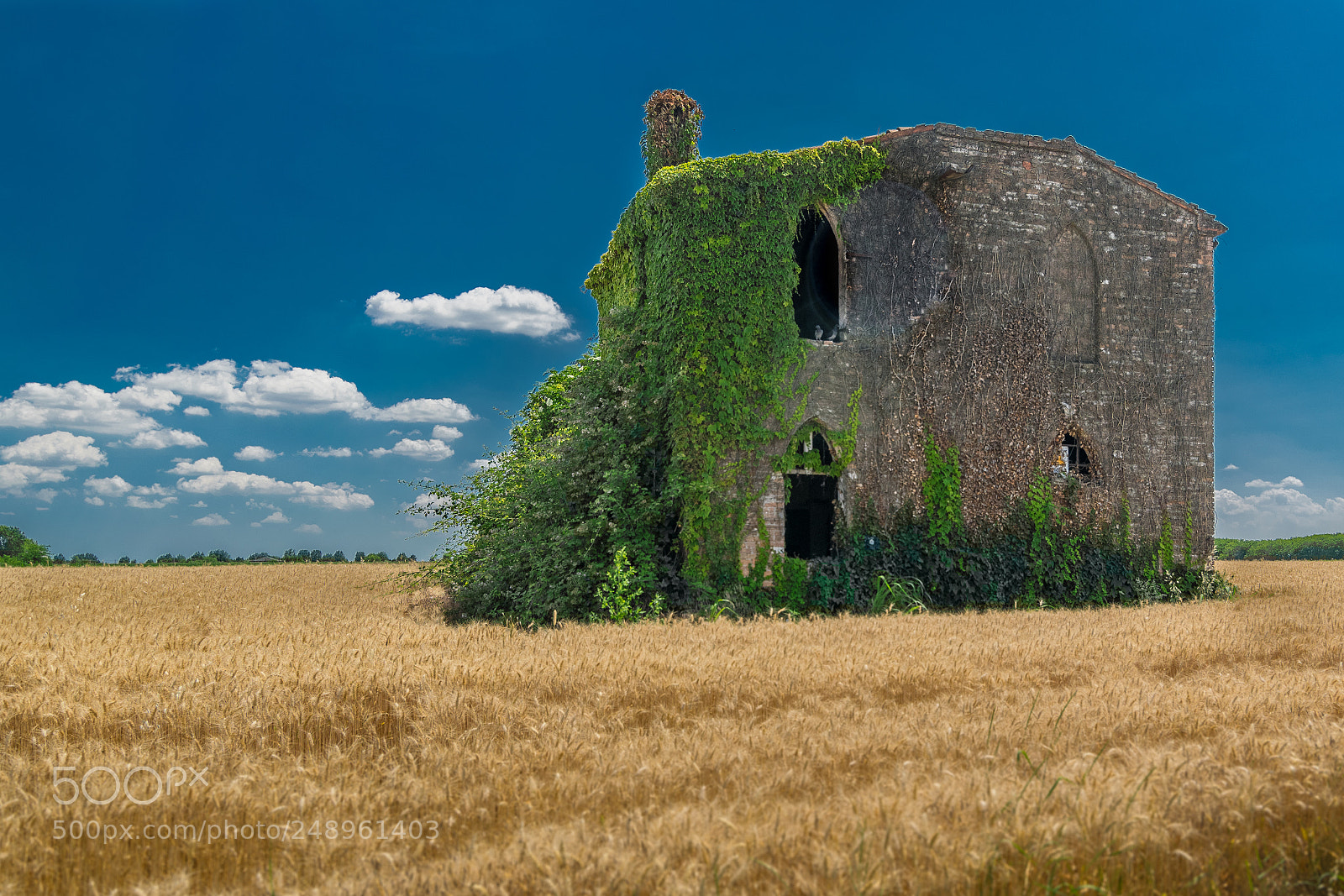 Nikon D5300 sample photo. Ruin photography