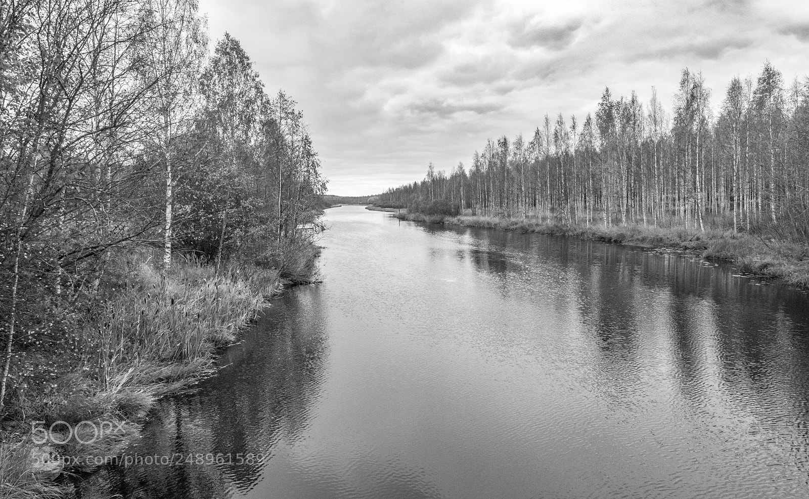 Nikon D810 sample photo. Untitled photography