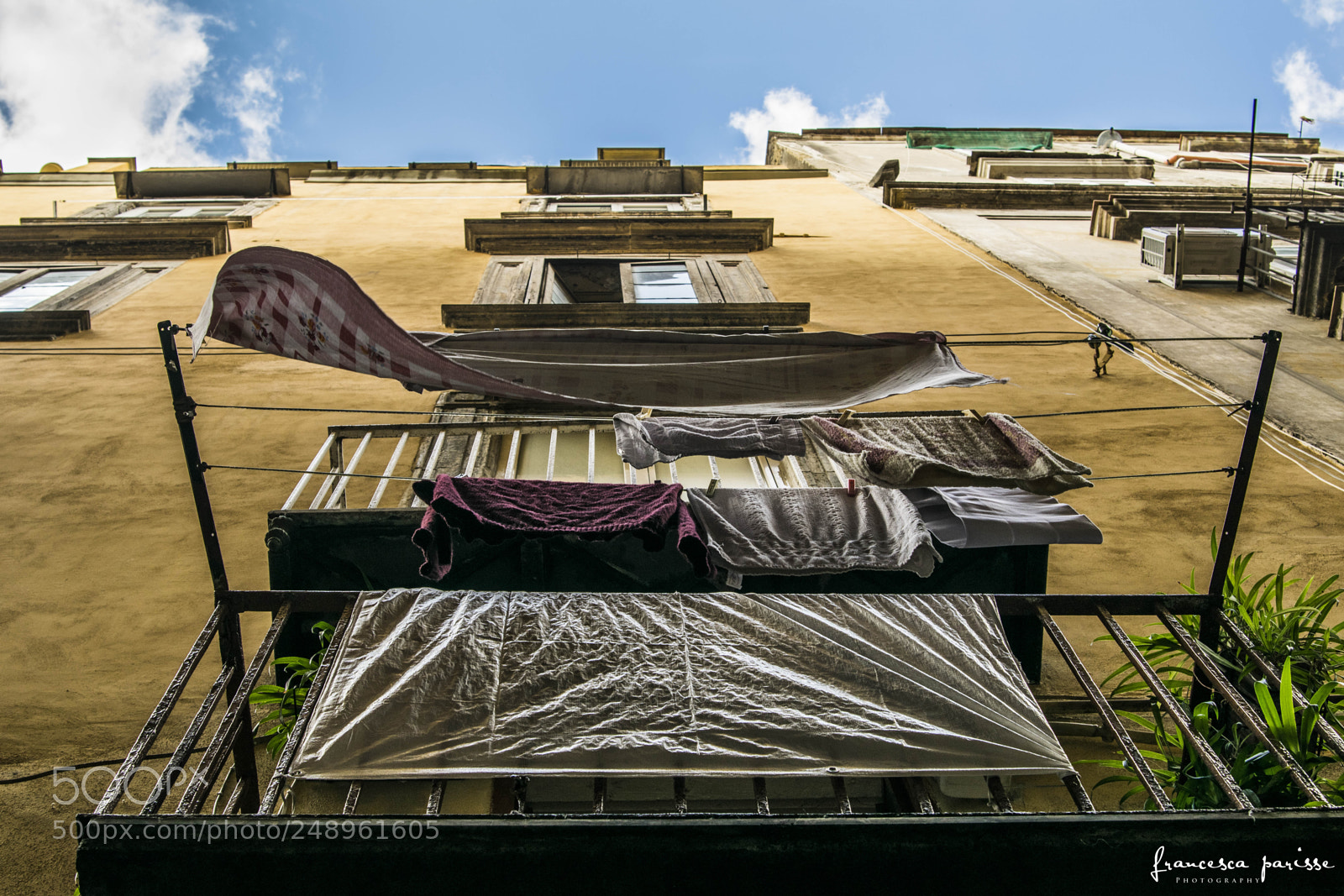 Nikon D3300 sample photo. Looking up photography