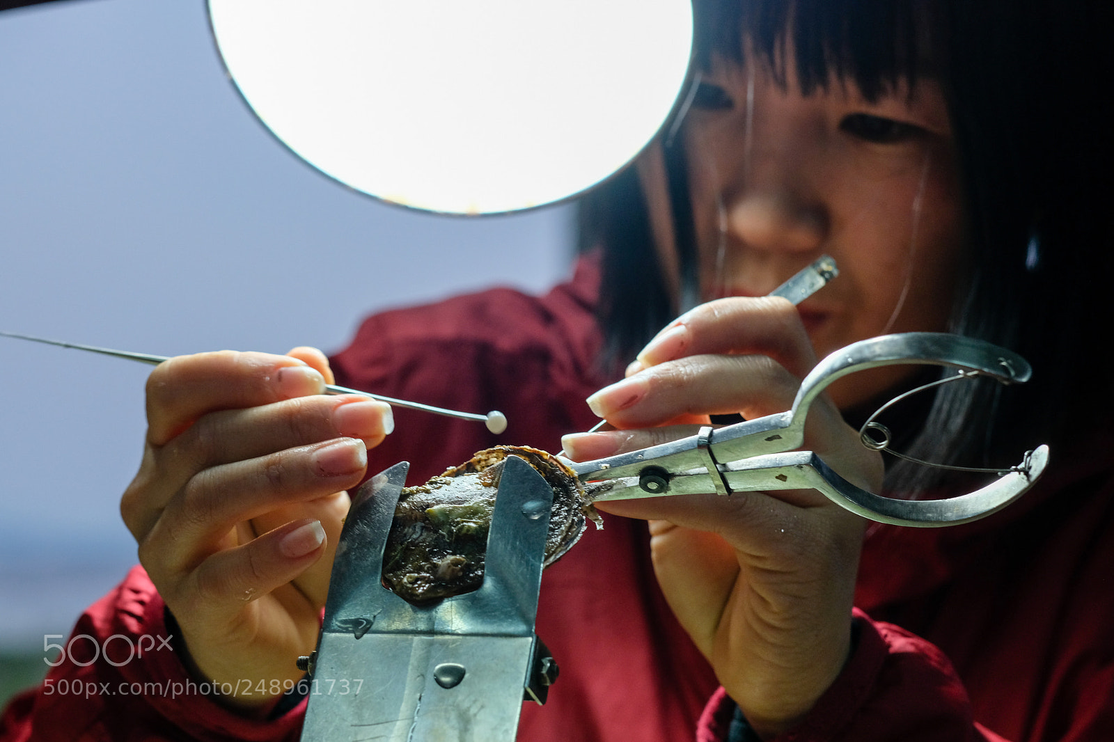 Fujifilm X-Pro2 sample photo. Culture des perles photography