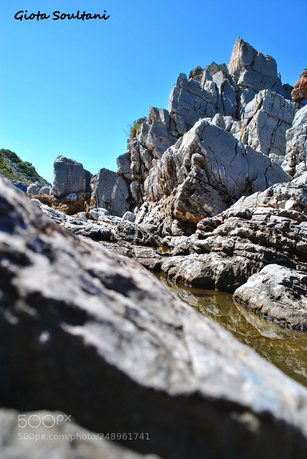 Nikon D3000 sample photo. Untitled photography