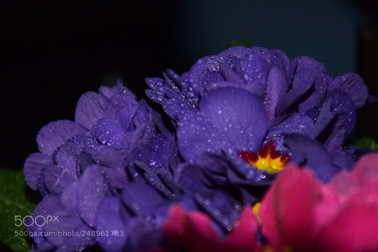 Nikon D5300 sample photo. Untitled photography