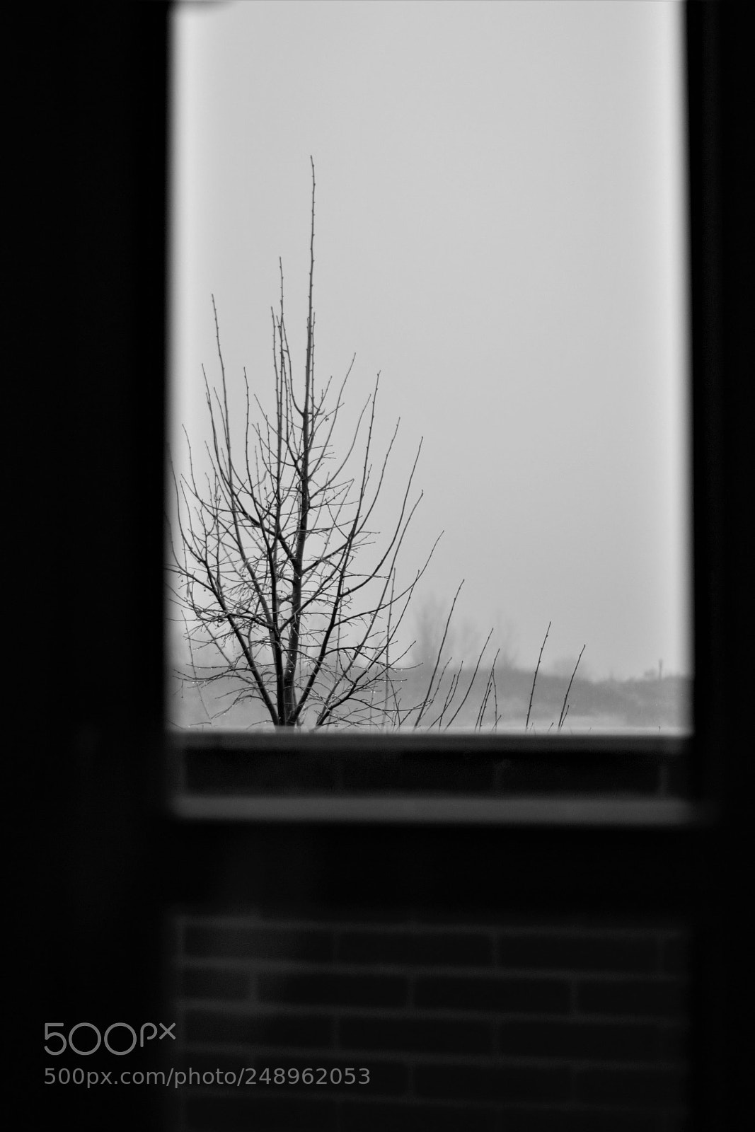 Canon EOS 600D (Rebel EOS T3i / EOS Kiss X5) sample photo. Through the window photography